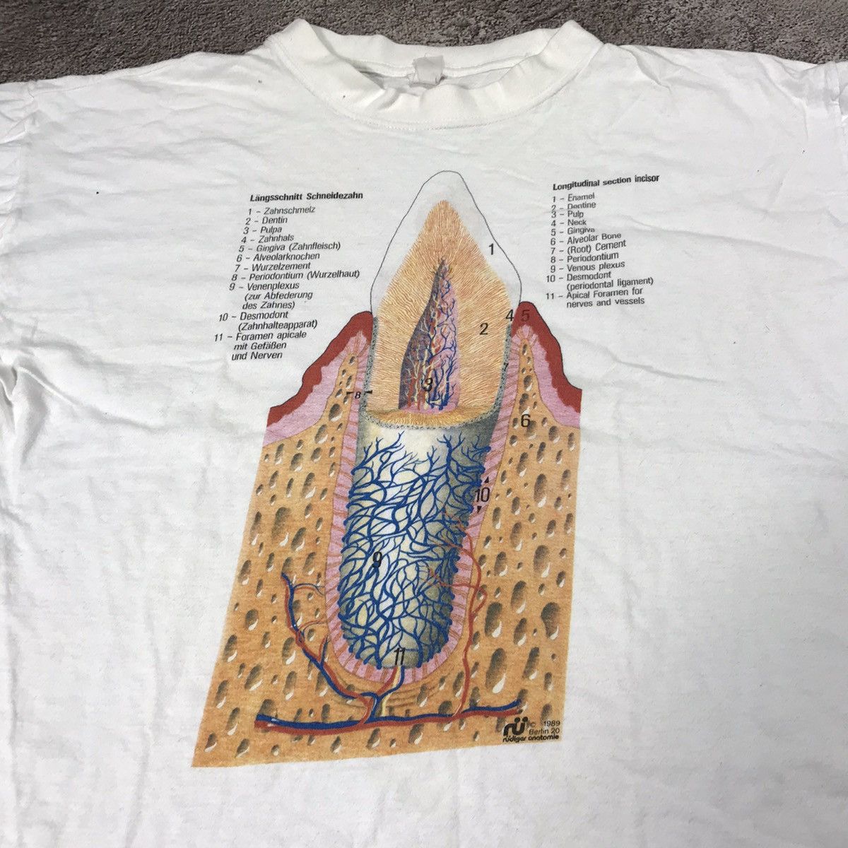 Vintage Vintage 90s Anatomy Graphic Tee Streetwear Art Y2K Cropped M Size US M / EU 48-50 / 2 - 2 Thumbnail