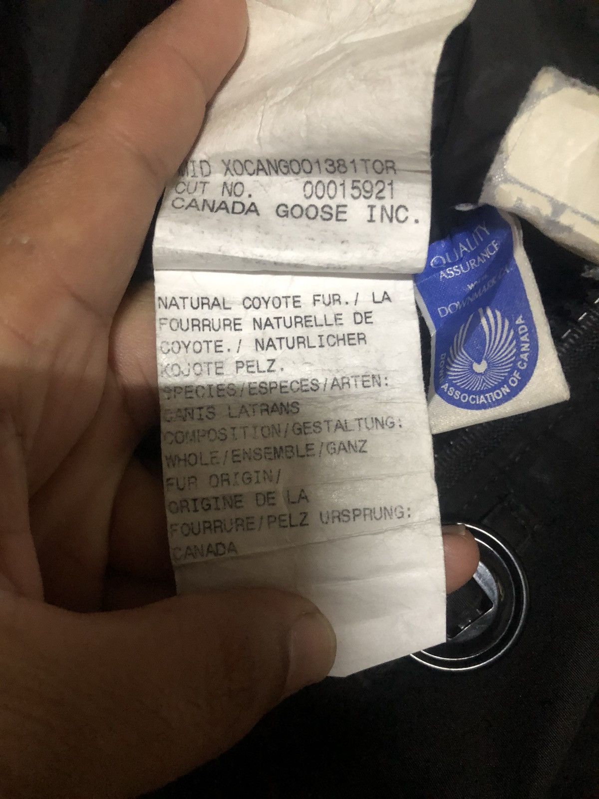 Canada Goose Canada Goose Hooded Down Jacket Size US S / EU 44-46 / 1 - 5 Thumbnail