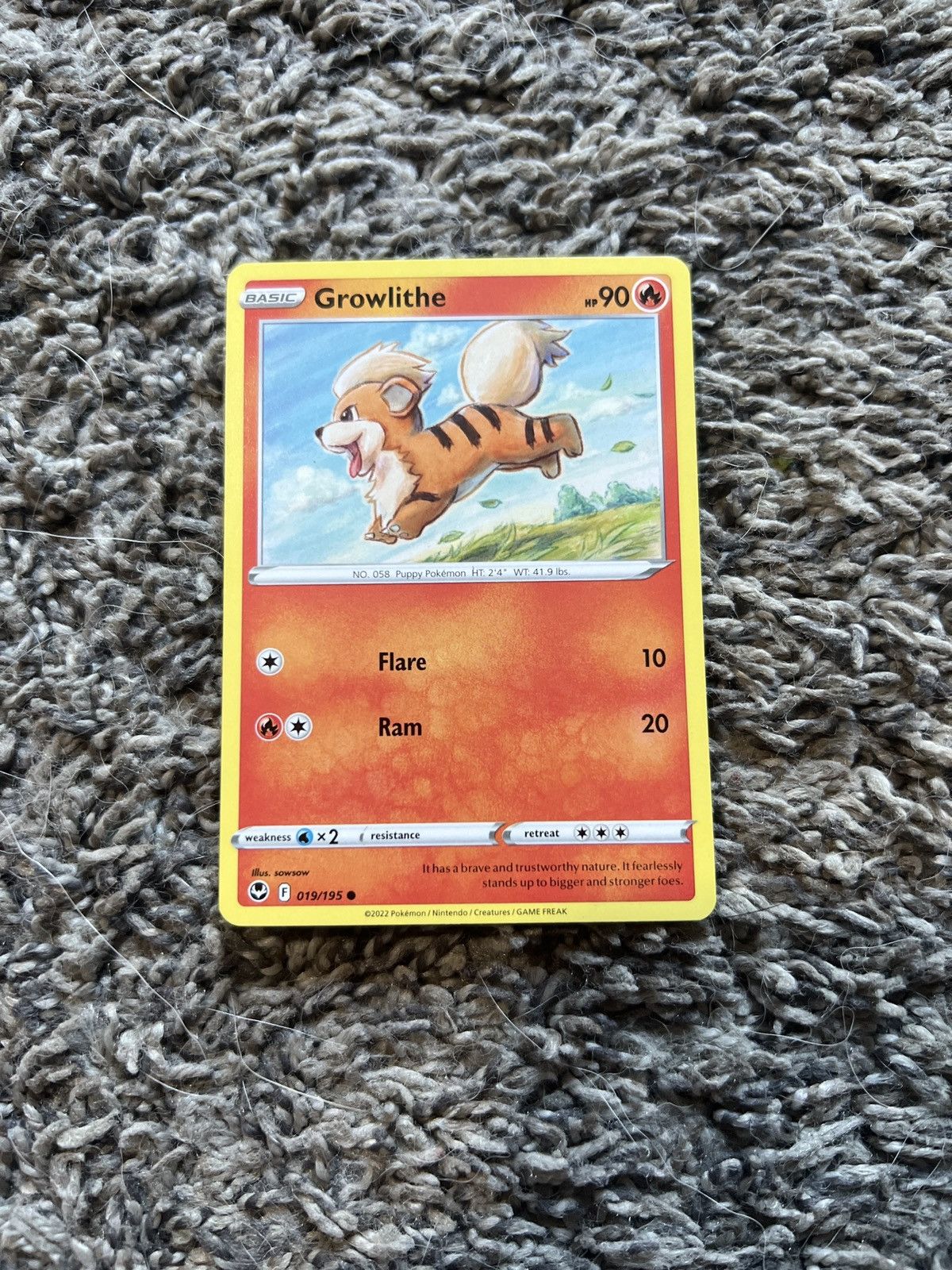 Pokemon 2022 Pokémon Growlithe Basic Card Size ONE SIZE - 1 Thumbnail