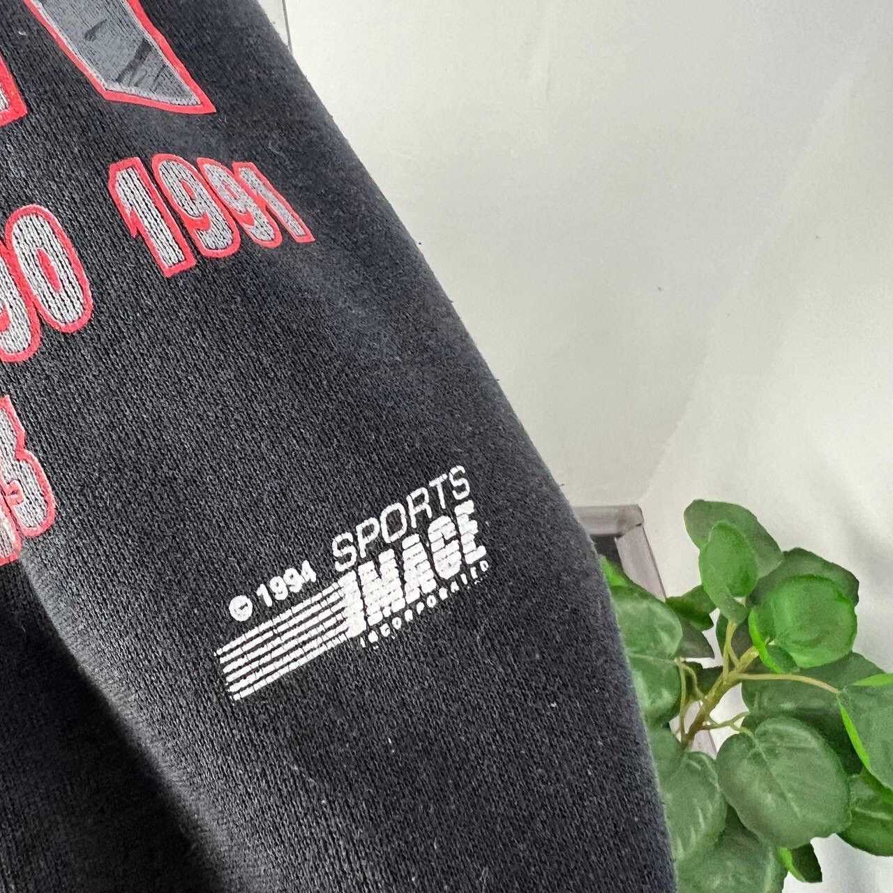 NASCAR 1994 Vtg Dale Earnhardt Sweatshirt RCR Sport Racing 7 Time Size US XL / EU 56 / 4 - 4 Thumbnail