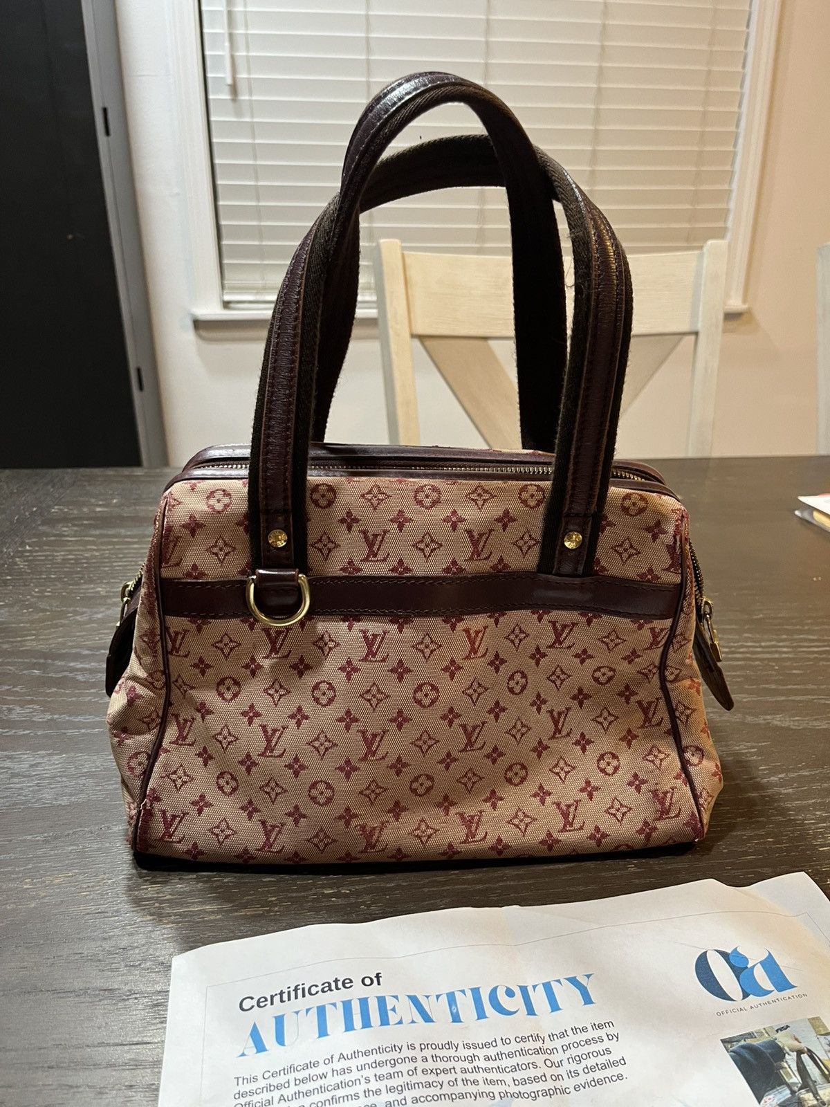 Louis Vuitton Louis Vuitton Monogram Mini Josephine PM Size ONE SIZE - 4 Thumbnail