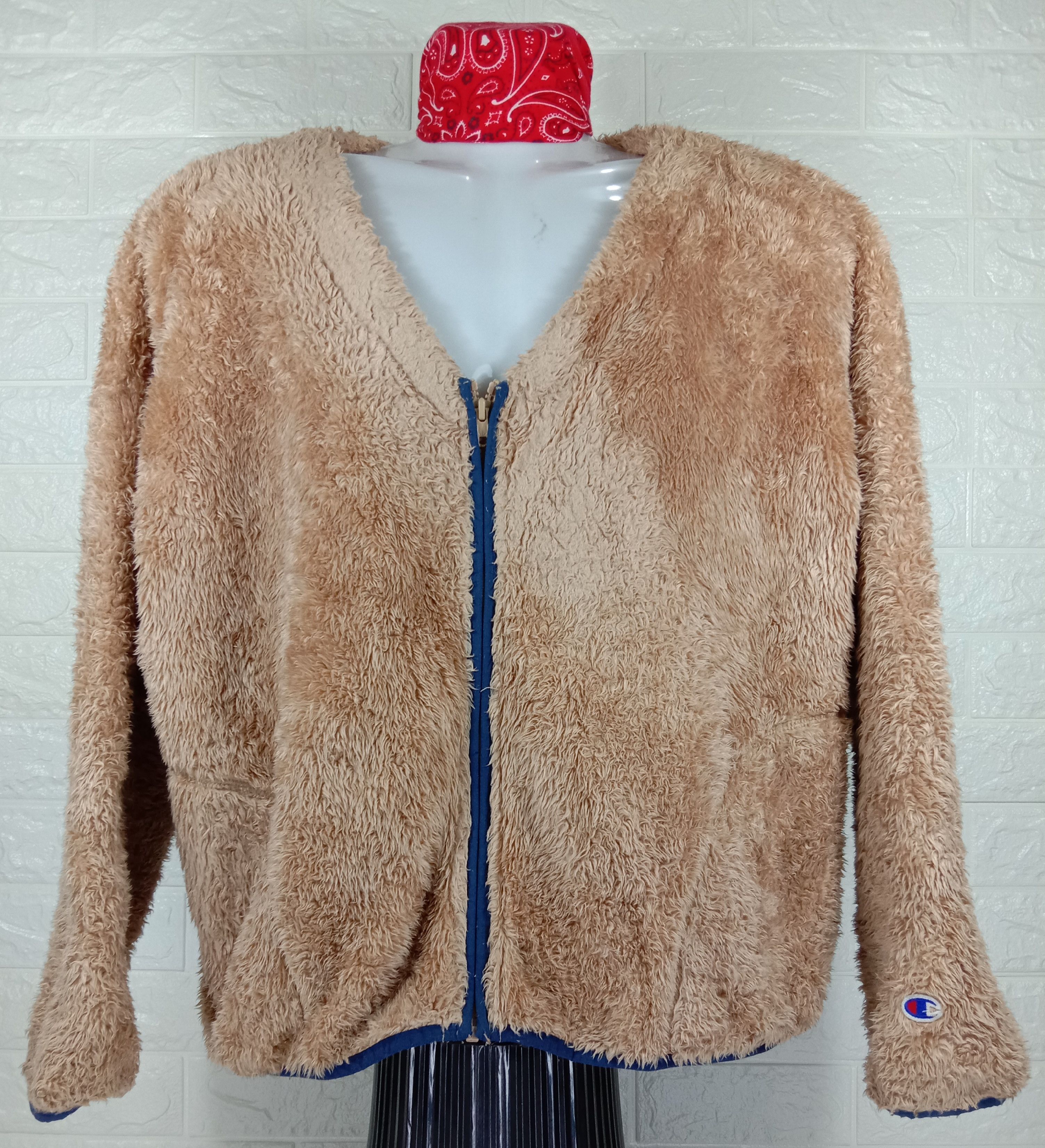 Champion Vintage Champion X Earth Music & Ecology Fleece Sweater Size XXL / US 16-18 / IT 52-54 - 1 Thumbnail