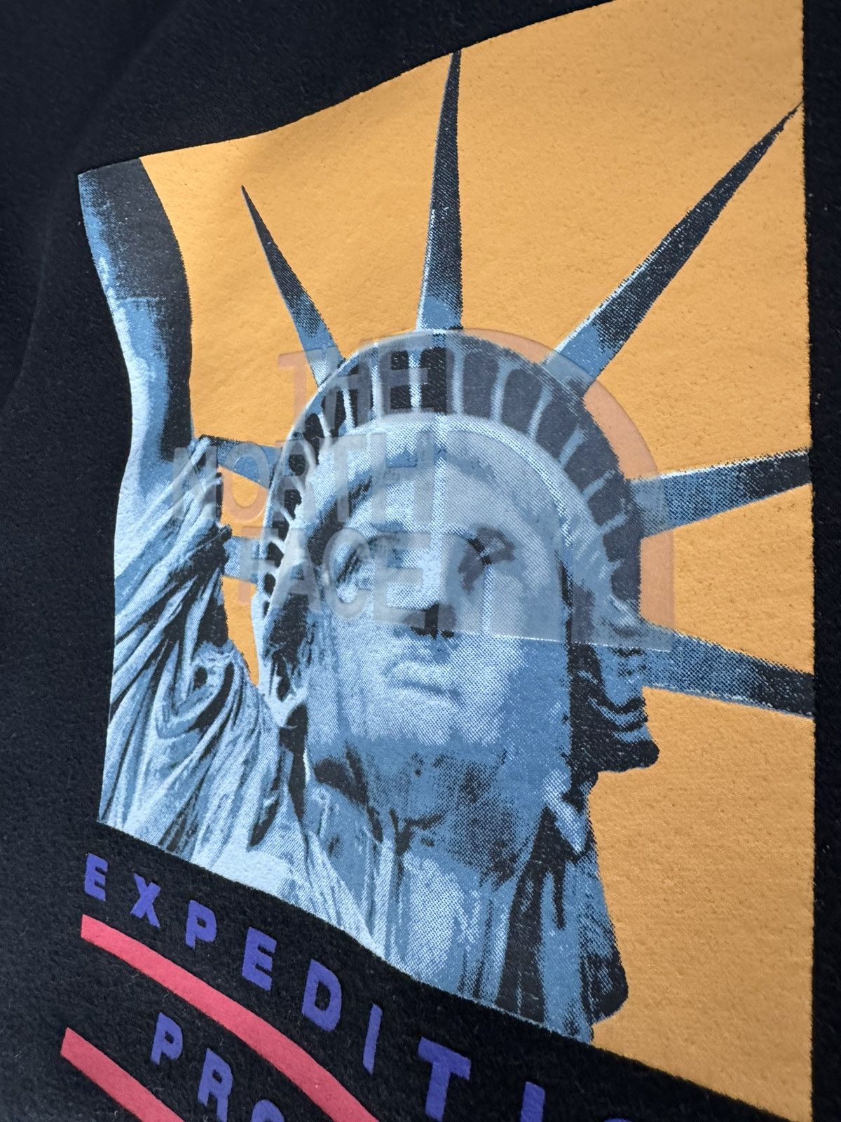 Supreme × The North Face Supreme x The North Face "Statue of Liberty" Hoodie Size US M / EU 48-50 / 2 - 6 Thumbnail