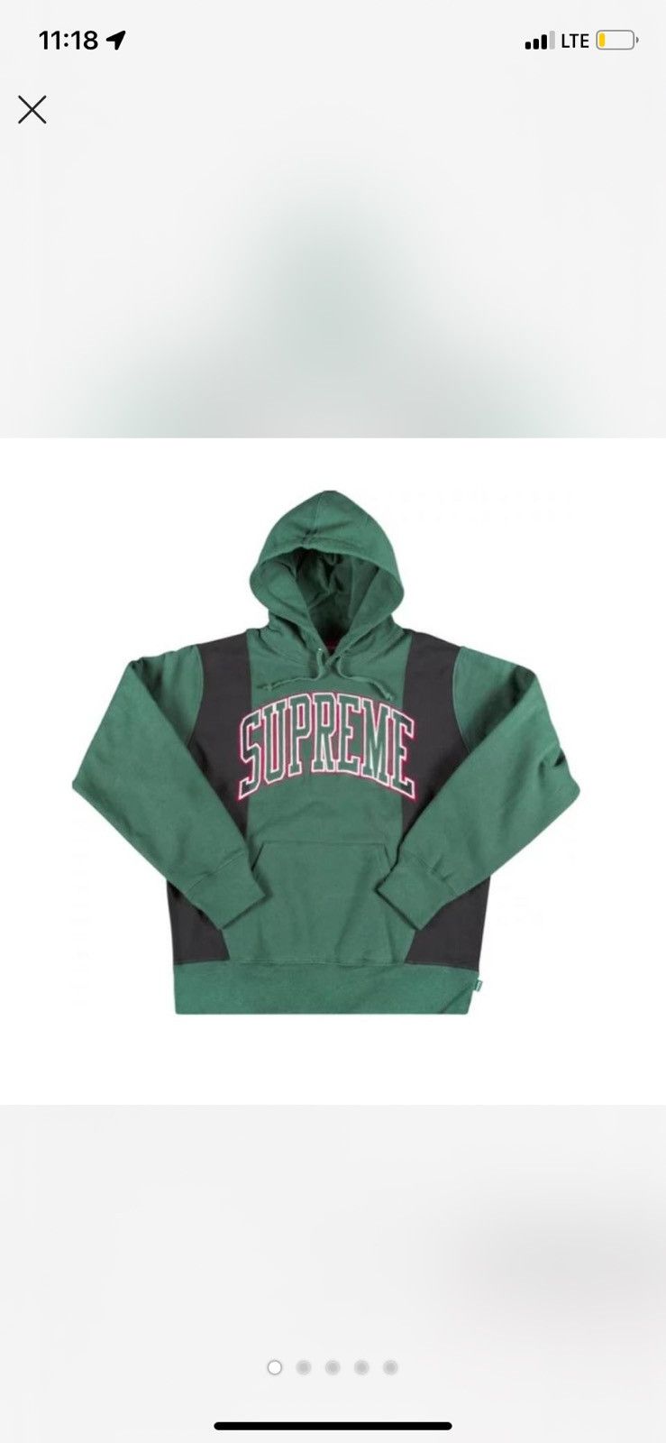 SUPREME FW19 WEEK 4 Paneled Arc Hooded Sweatshirt in pine