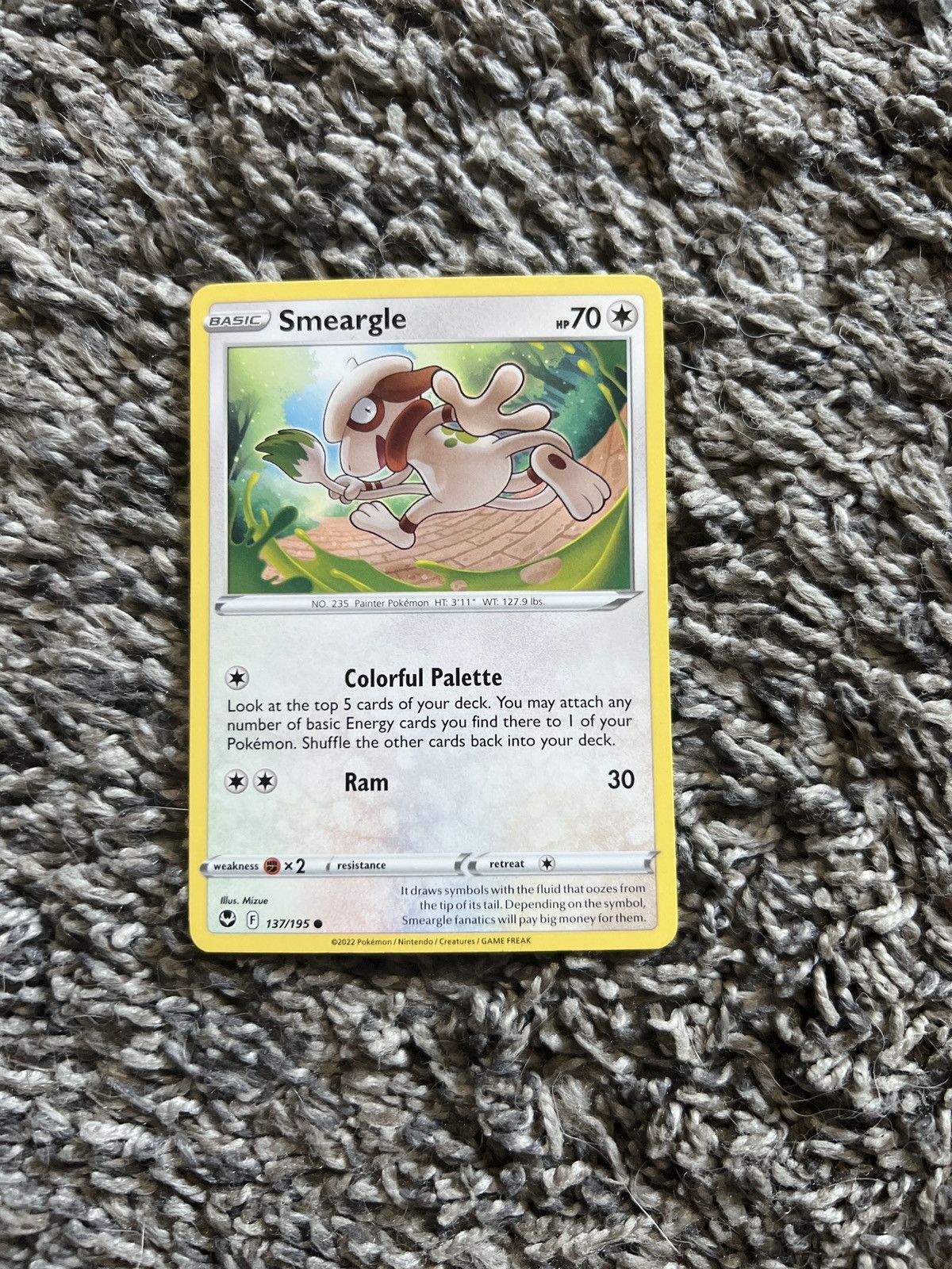 Pokemon 2022 Pokémon Smeargle Basic Card Size ONE SIZE - 1 Thumbnail