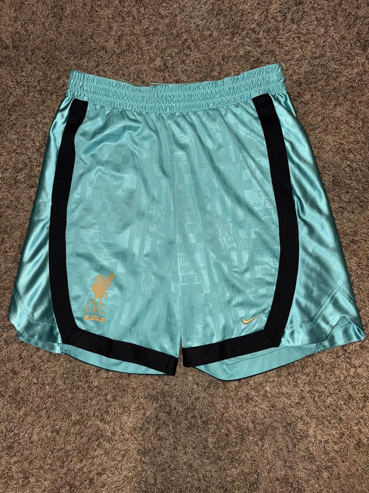 Nike Nike Men’s Liverpool FC x LeBron James 2024 DNA Short Sample Size US 34 / EU 50 - 1 Thumbnail