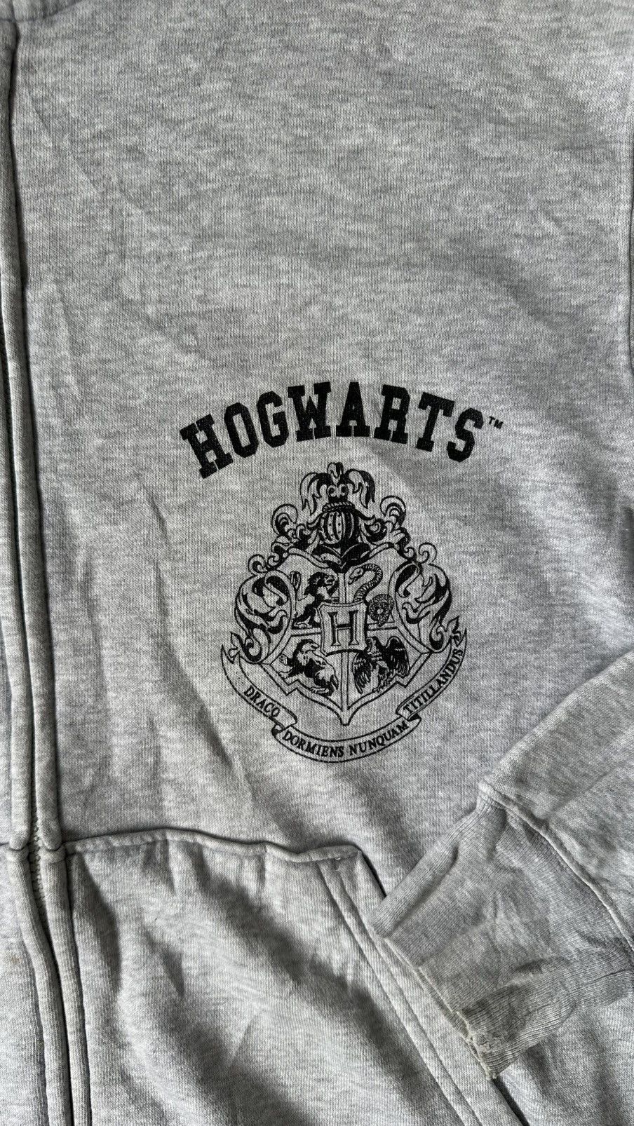 Vintage HARRY POTER HOGWARTS HOODIE Size US L / EU 52-54 / 3 - 3 Thumbnail