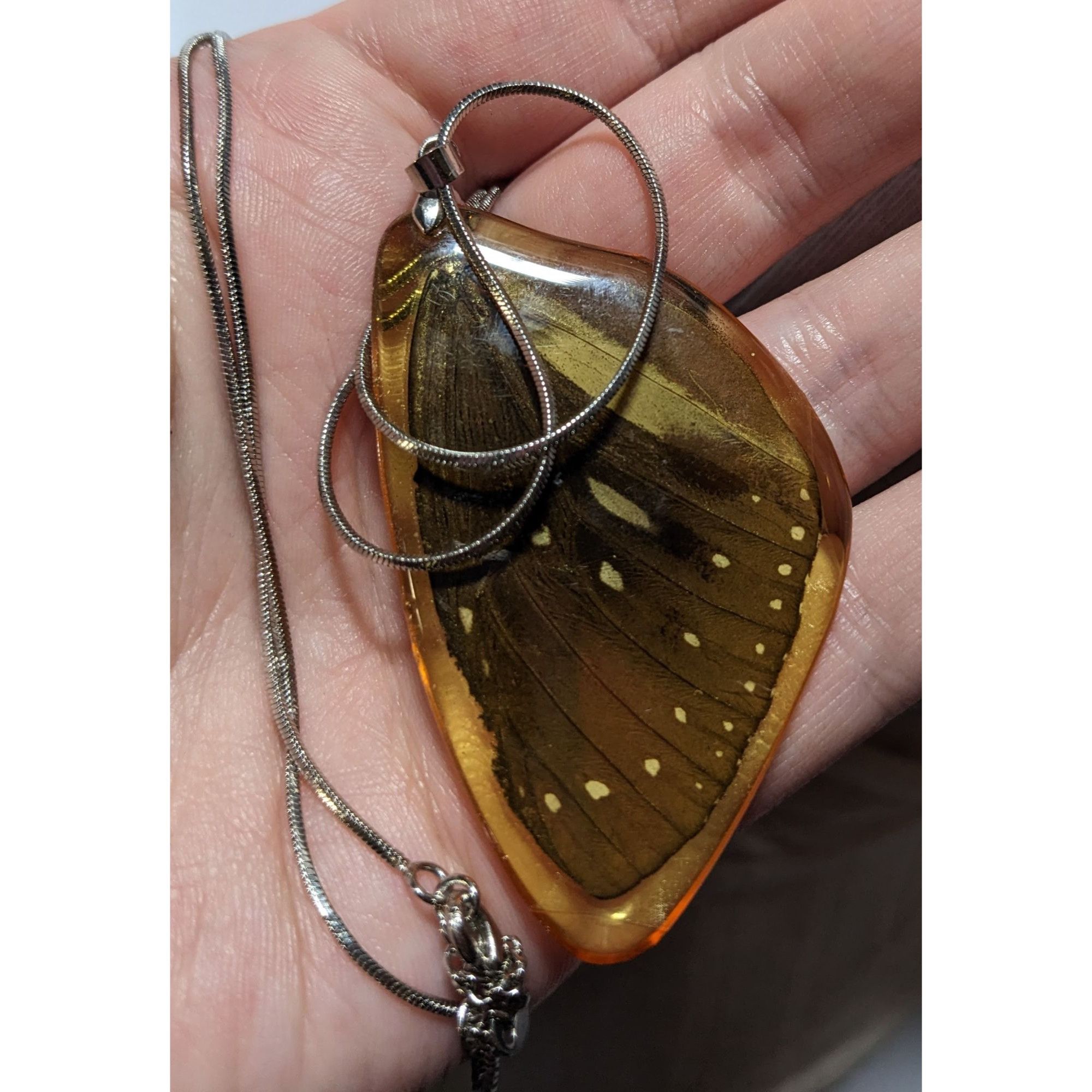 Other Preserved Butterfly Wing Necklace Size ONE SIZE - 8 Thumbnail