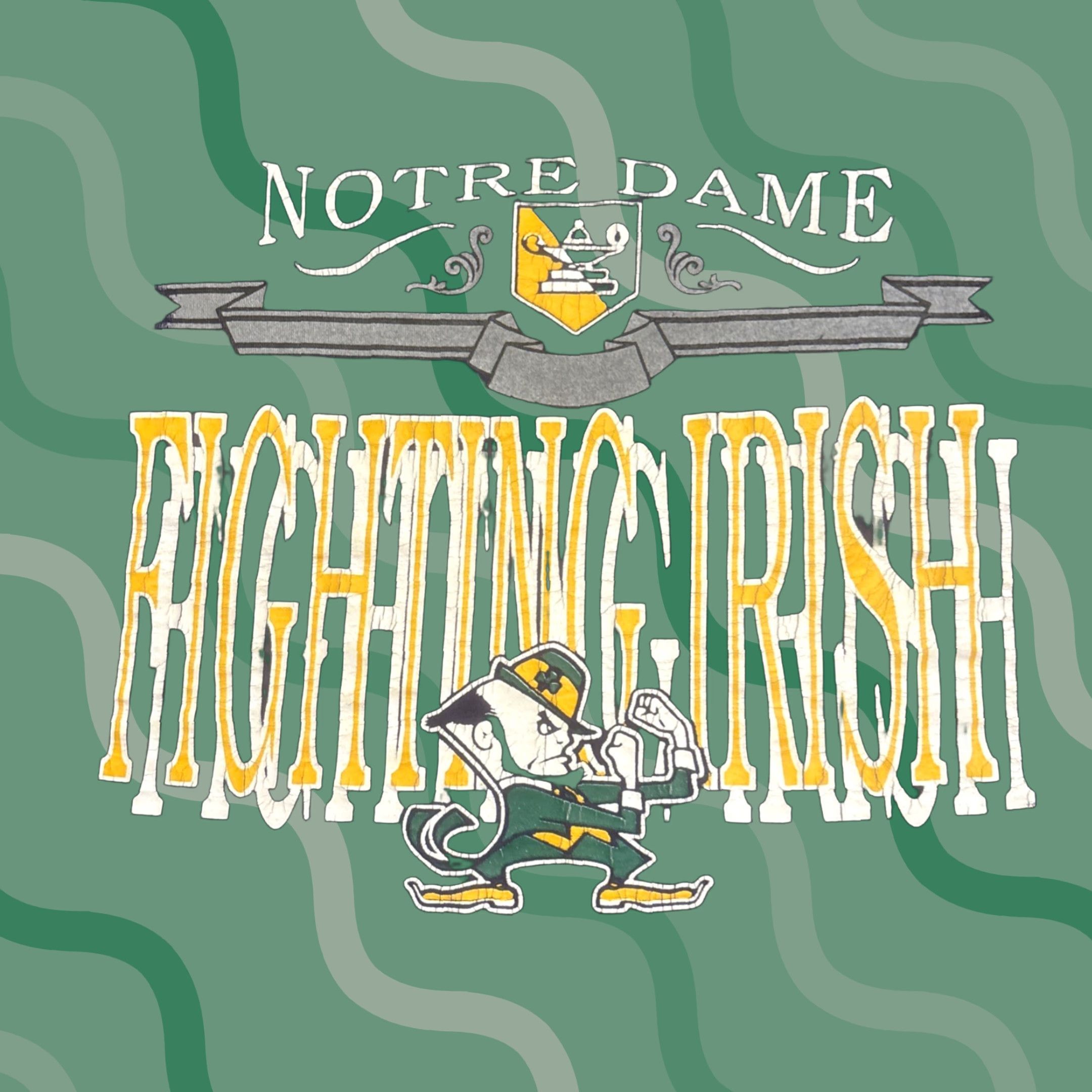 Vintage VINTAGE Notre Dame Fighting Irish Distressed T Shirt Size L Blue Men Shirt 90s College Sports Lou Holtz Notre Dame Fighting Irish Nike? Size US L / EU 52-54 / 3 - 1 Thumbnail