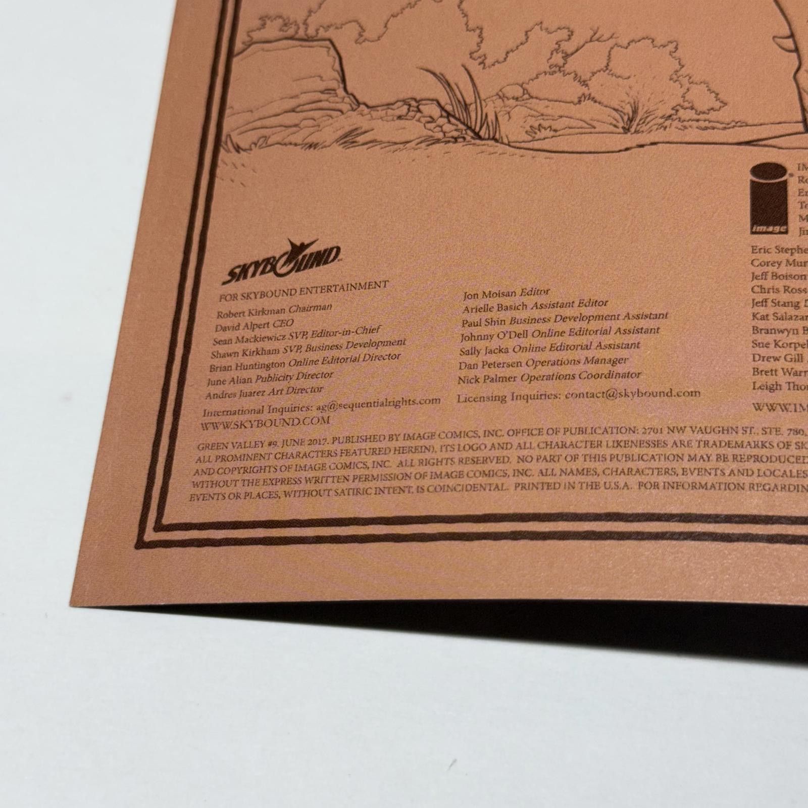 Designer Green Valley #9 JUN 2017 - Image Comics NM+ Size ONE SIZE - 9 Thumbnail