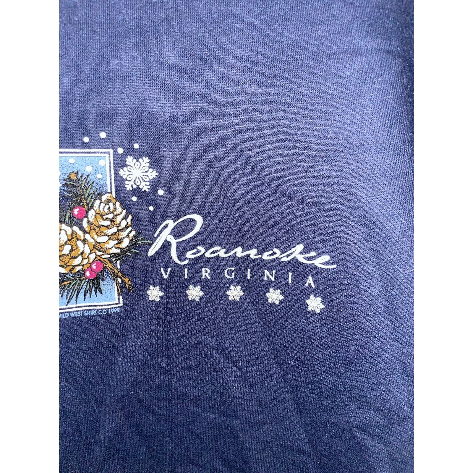 Jerzees Vintage Roanoke Virginia Sweatshirt Blue Crewneck VTG 90s M Size US M / EU 48-50 / 2 - 3 Thumbnail