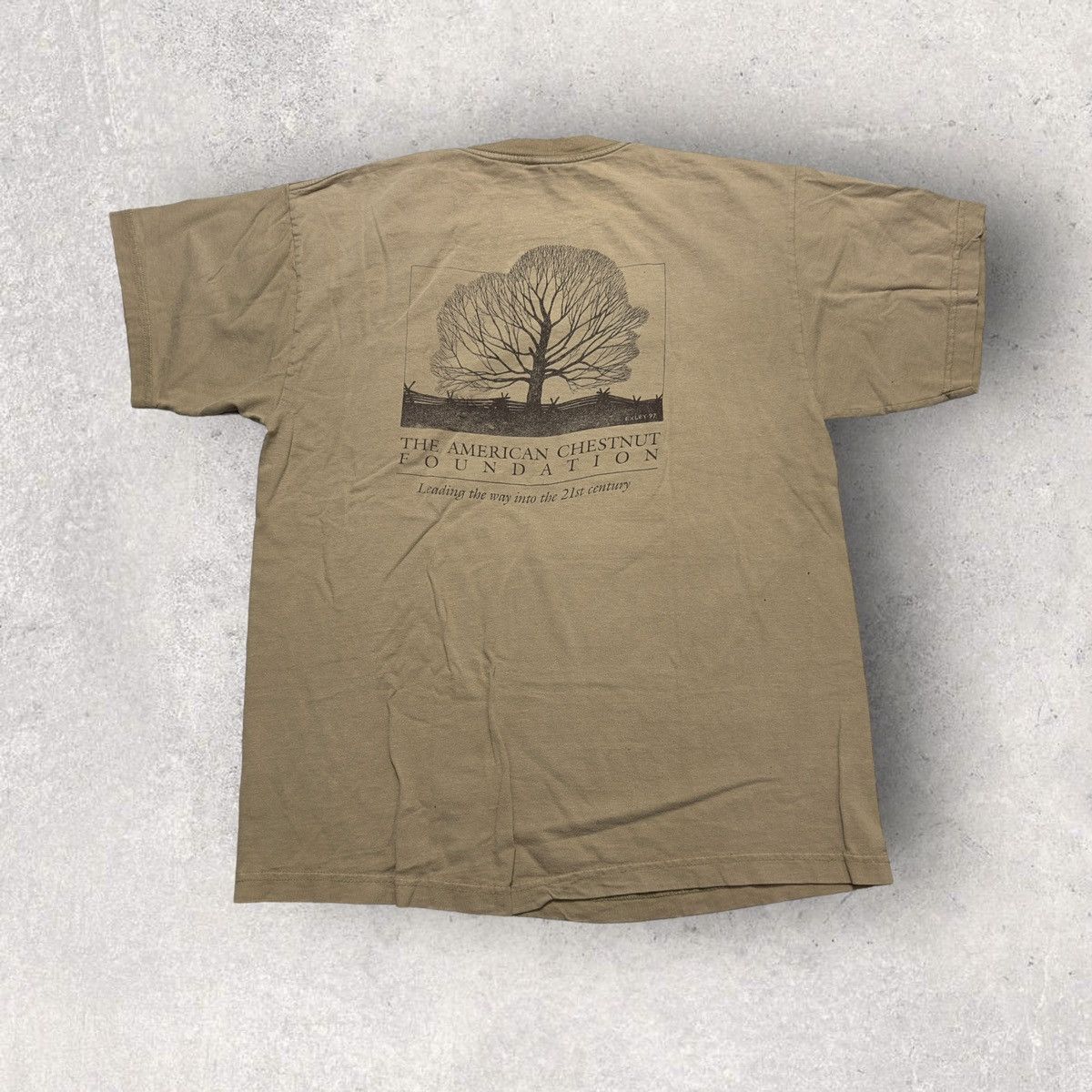 Vintage Vintage American Chestnut Foundation tee Size US L / EU 52-54 / 3 - 1 Thumbnail