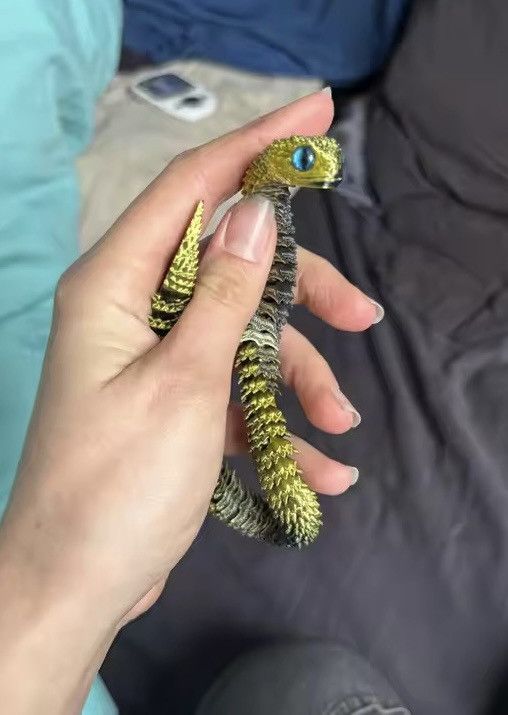 Other 3D Printed Rotatable Articulated Snake Size ONE SIZE - 4 Thumbnail