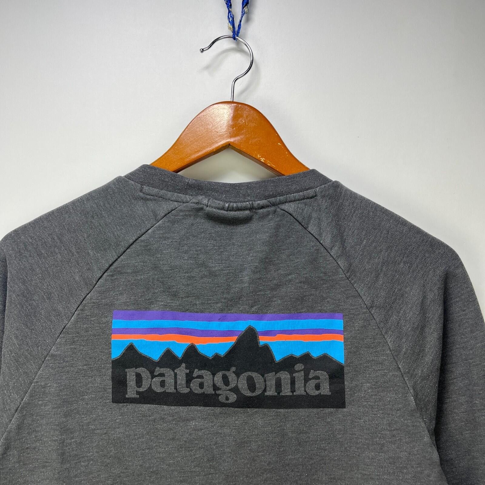 Patagonia Patagonia P-6 Logo Lightweight Raglan Crewneck Sweatshirt M Size US M / EU 48-50 / 2 - 2 Thumbnail