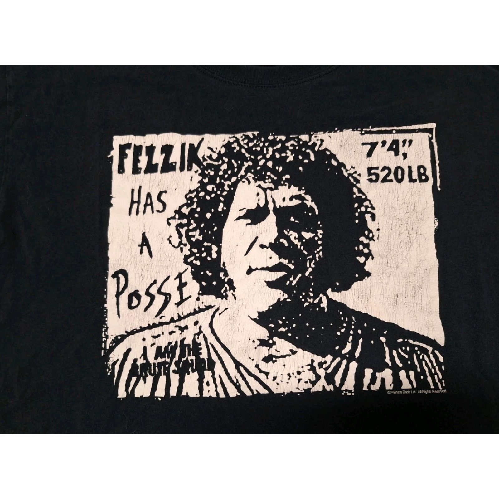 Port & Company Fezzik Has A Posse shirt Men L Black Princess WWF WWE AEW Port & Company VINTAGE (adjust? but not vintage since not stated) Size US L / EU 52-54 / 3 - 4 Thumbnail