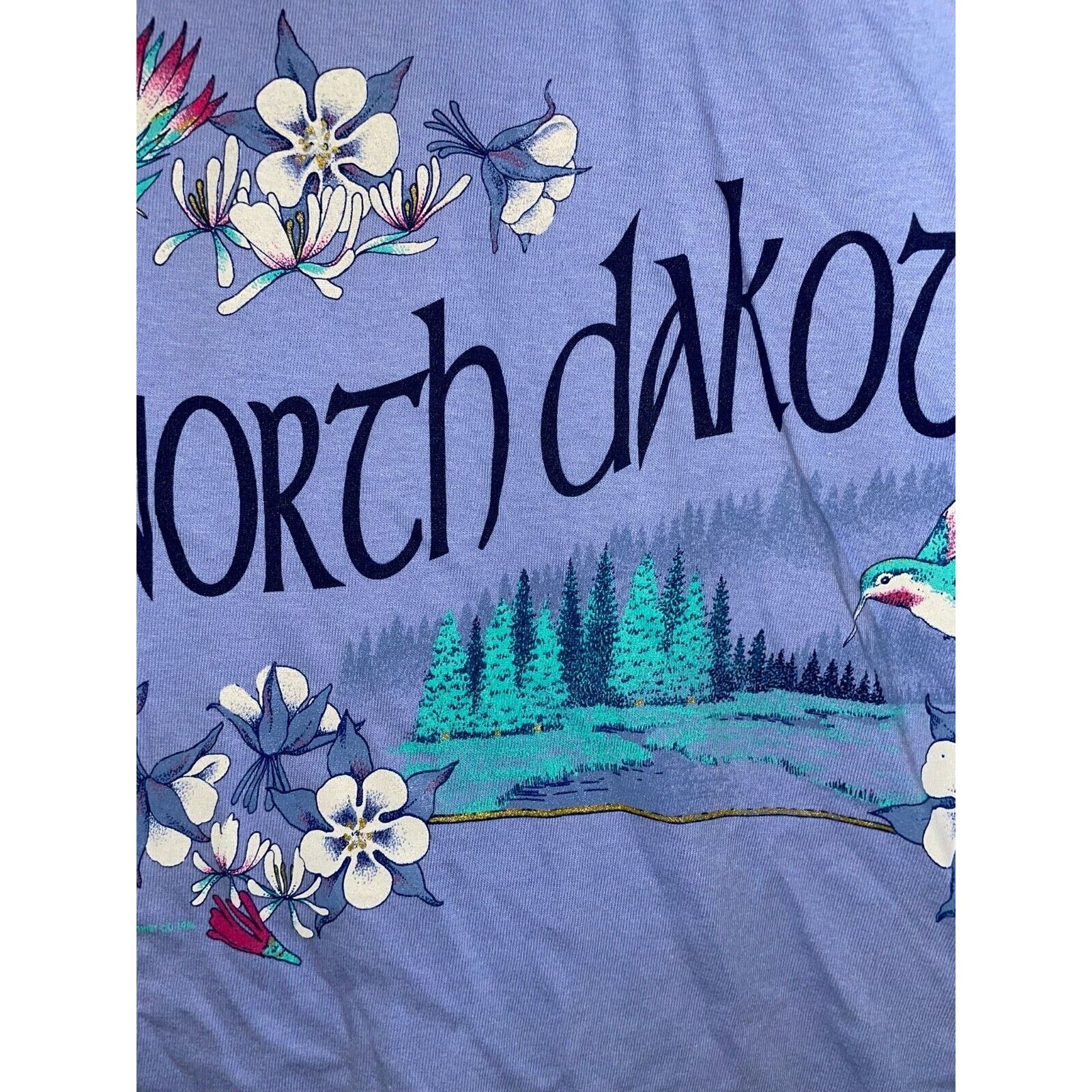 Jerzees Vintage North Dakota Shirt Mountain Hummingbird Tee 90s L Size US L / EU 52-54 / 3 - 4 Thumbnail
