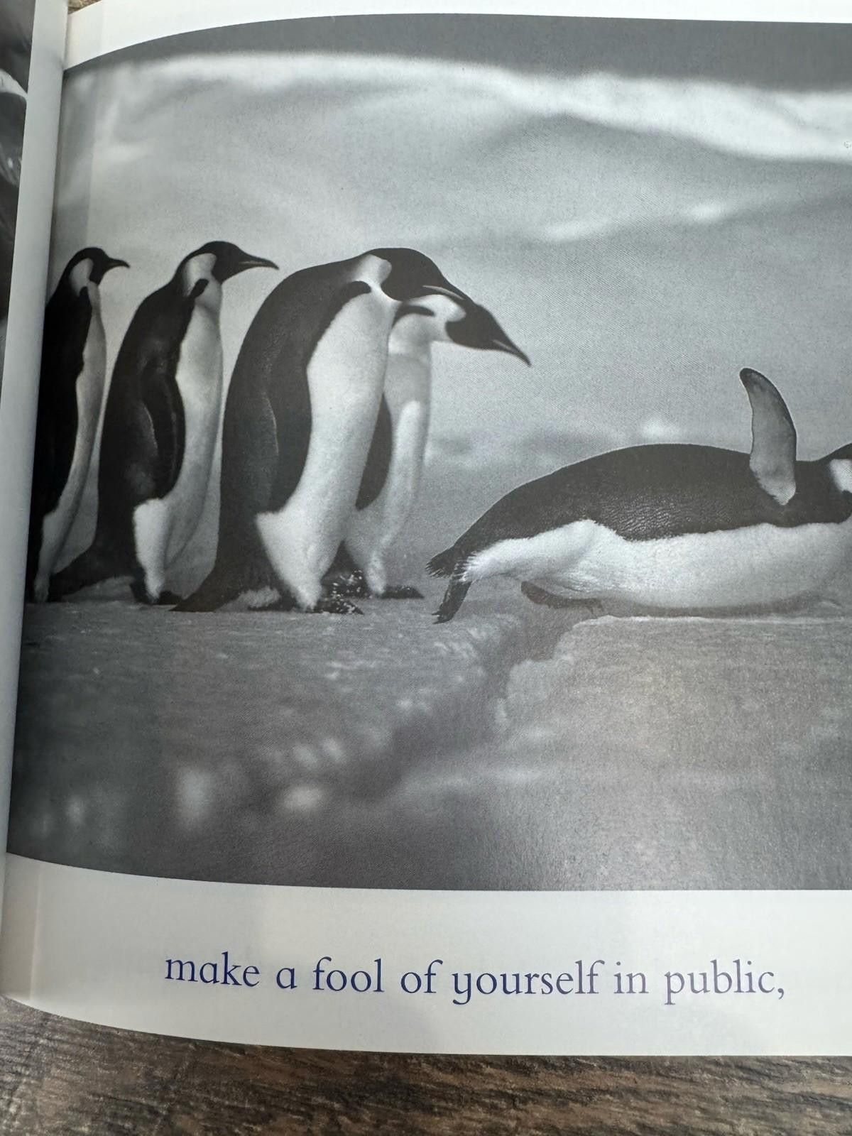 Other The Blue Day Book : A Lesson in Cheering Yourself Up Size ONE SIZE - 5 Thumbnail