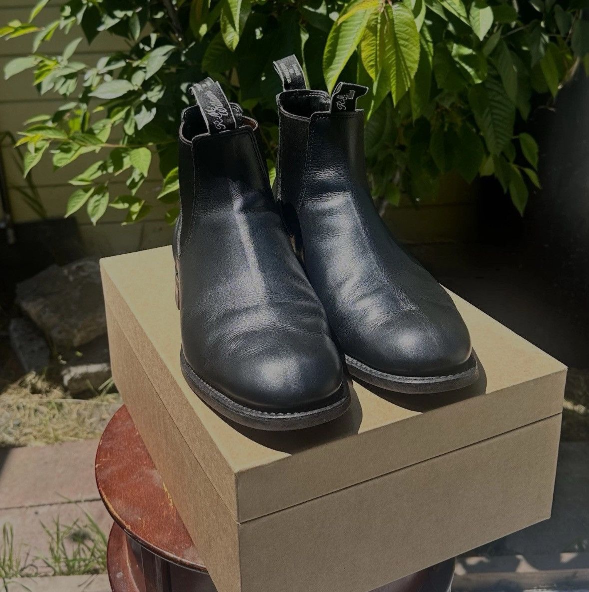 R M Williams Rm Williams Comfort Turnout Size 11 Shoes in Black, Men's