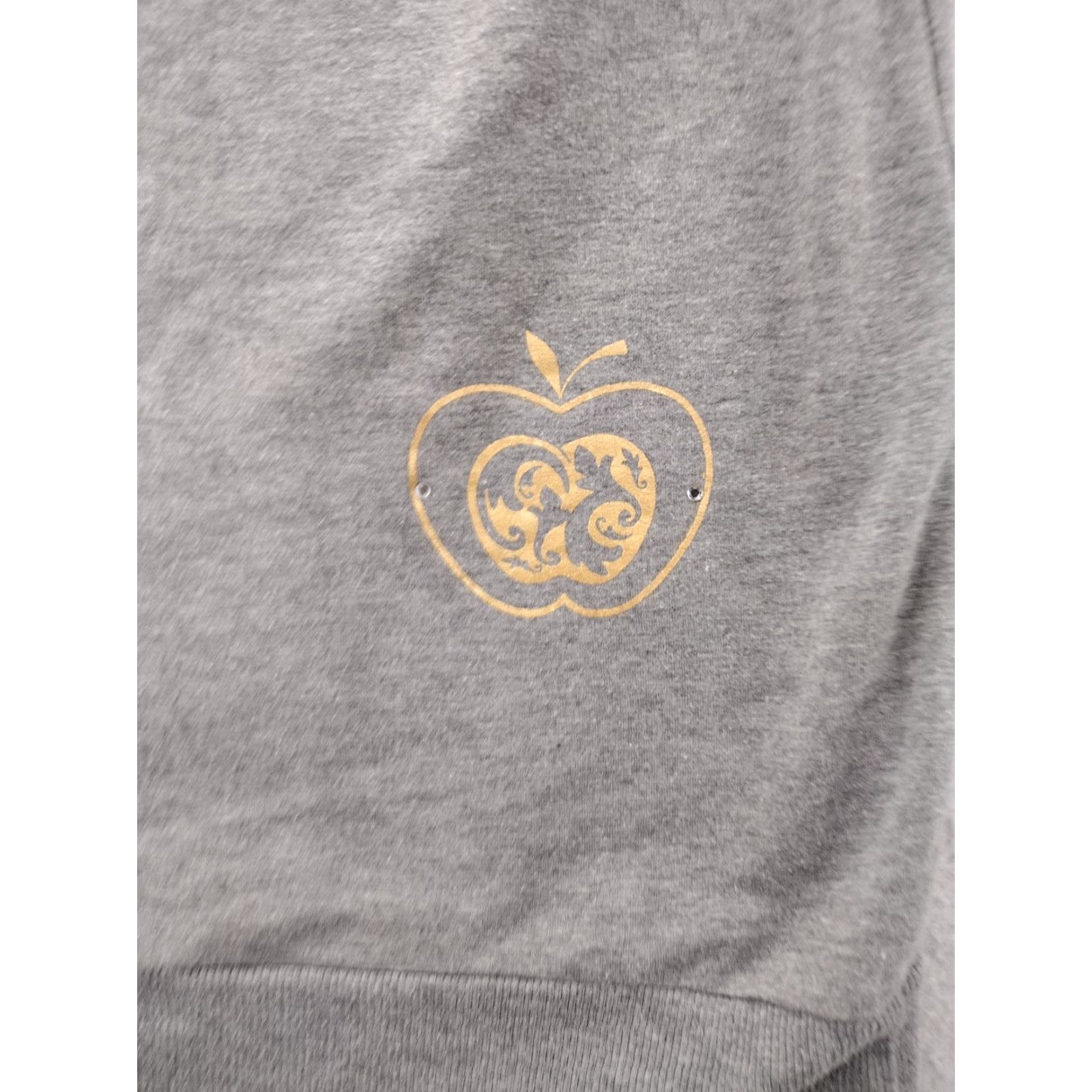 Vintage Vintage Apple Bottoms Hoodie Women’s Medium Gray Fleece Pullover Festival Hip Hop Style Size M / US 6-8 / IT 42-44 - 7 Thumbnail