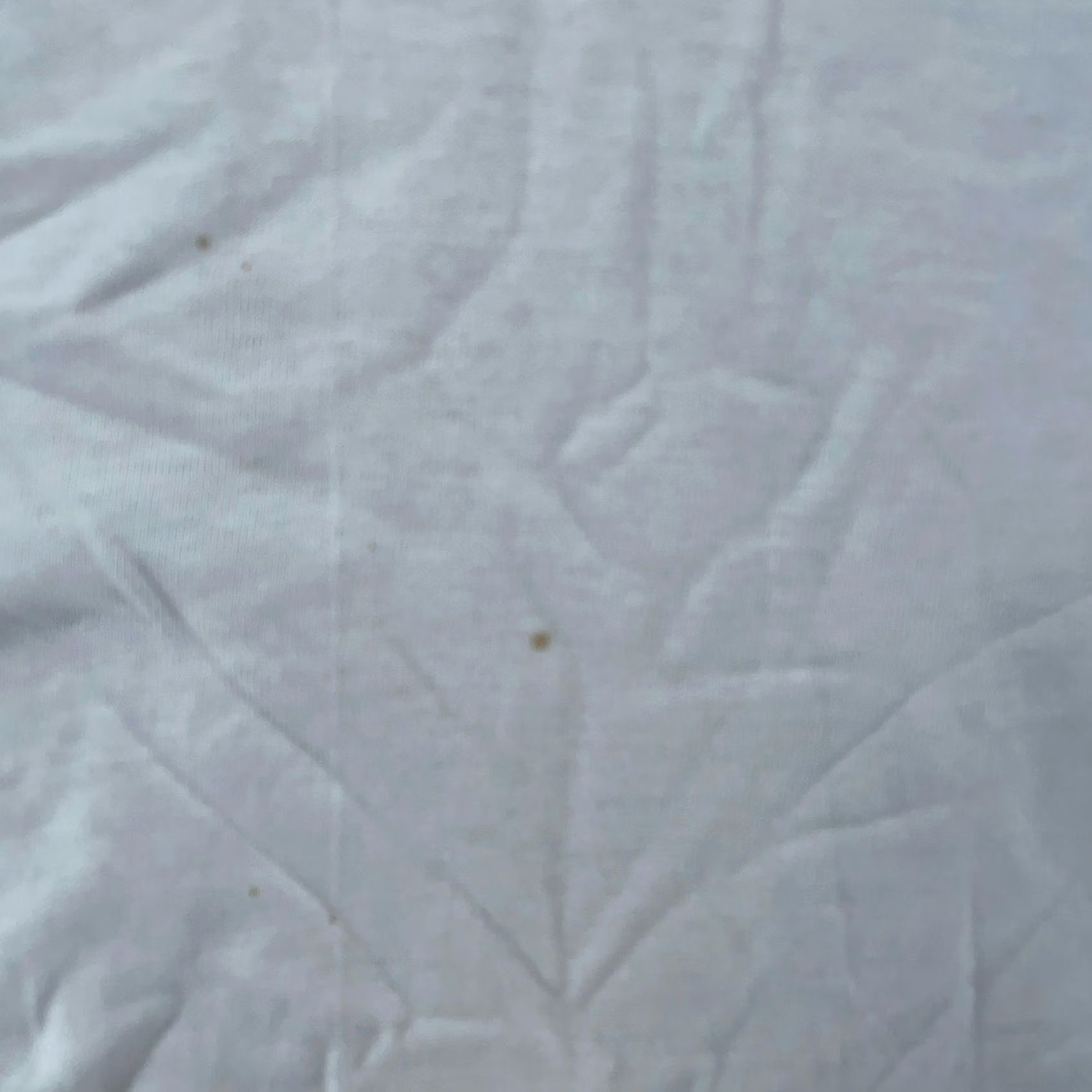 Fruit Of The Loom Vtg Blank White Fruit of the Loom T-Shirt Mens Large Crewneck Short Sleeve Tee Size US L / EU 52-54 / 3 - 3 Thumbnail