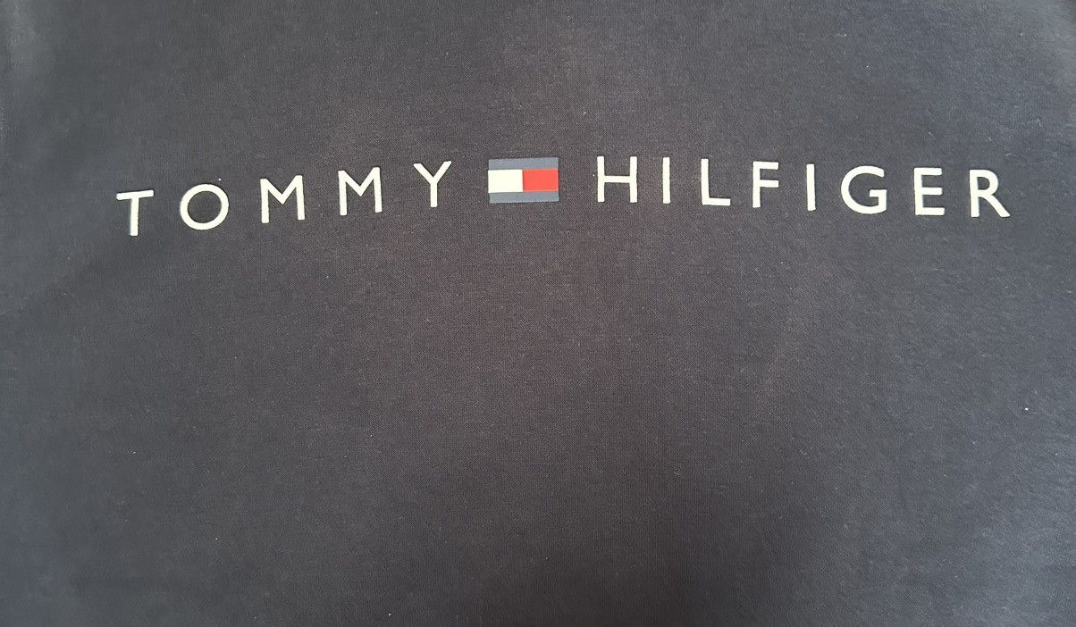 Tommy Hilfiger Tommy Hilfiger Blue Hoodie Size US M / EU 48-50 / 2 - 3 Thumbnail