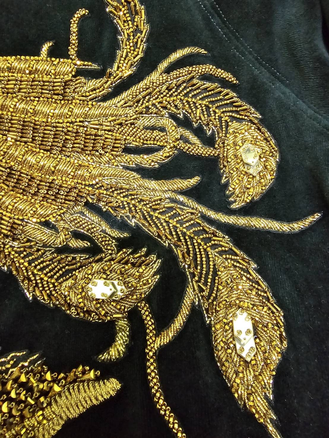 Balmain Balmain super rare Phoenix 3D embellished velvet sweatshirt Size US M / EU 48-50 / 2 - 5 Thumbnail