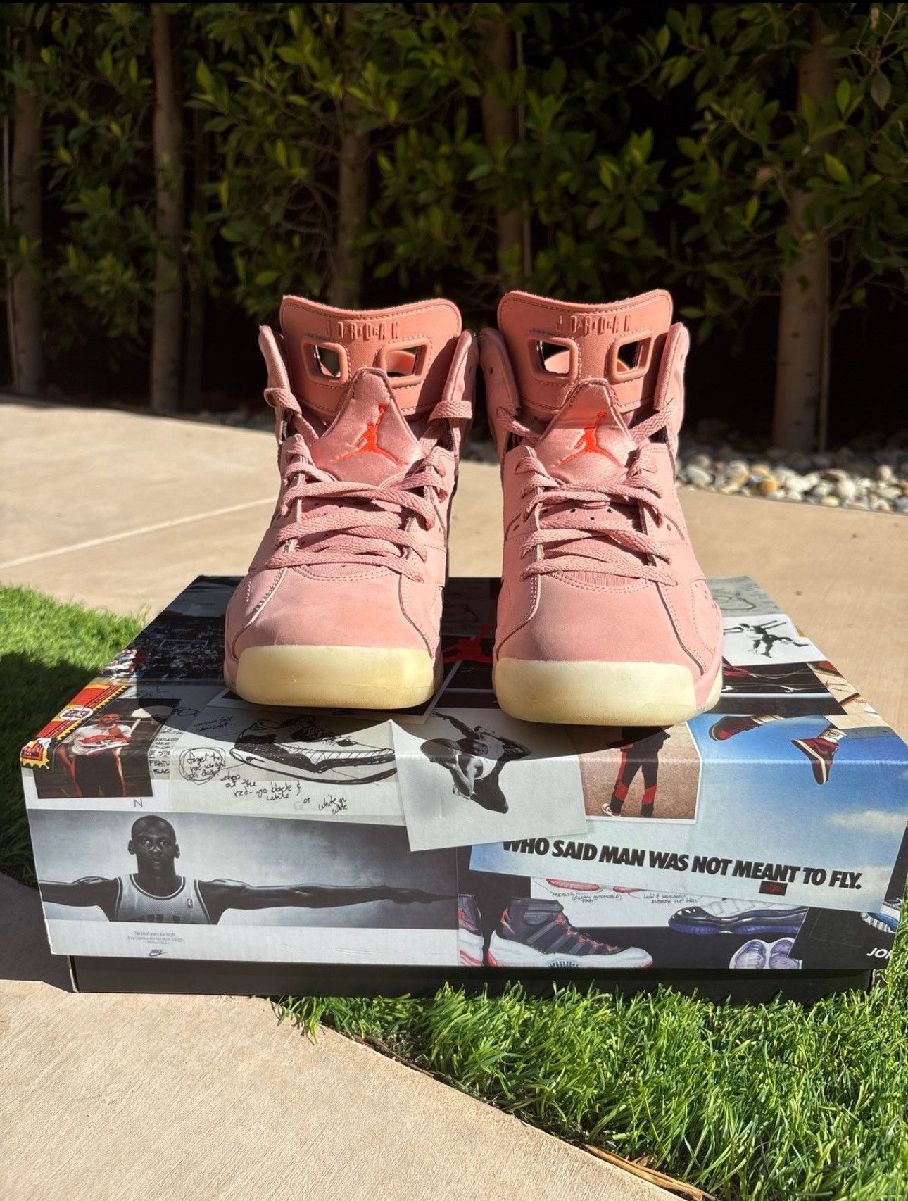 Jordan Brand Jordan 6 Retro “Aleali May” 2019 Size US 8.5 / EU 41-42 - 3 Thumbnail