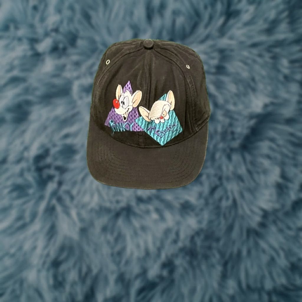 Vintage VINTAGE Animaniacs Pinky & The Brain Cartoon VTG 90s 1993 SnapBack Hat Size ONE SIZE - 1 Thumbnail