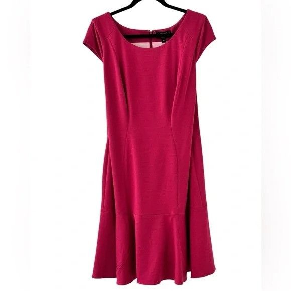 Other New Gravitas Elegant Fit and Flare Pink Dress with Built-in Size XL / US 12-14 / IT 48-50 - 1 Thumbnail