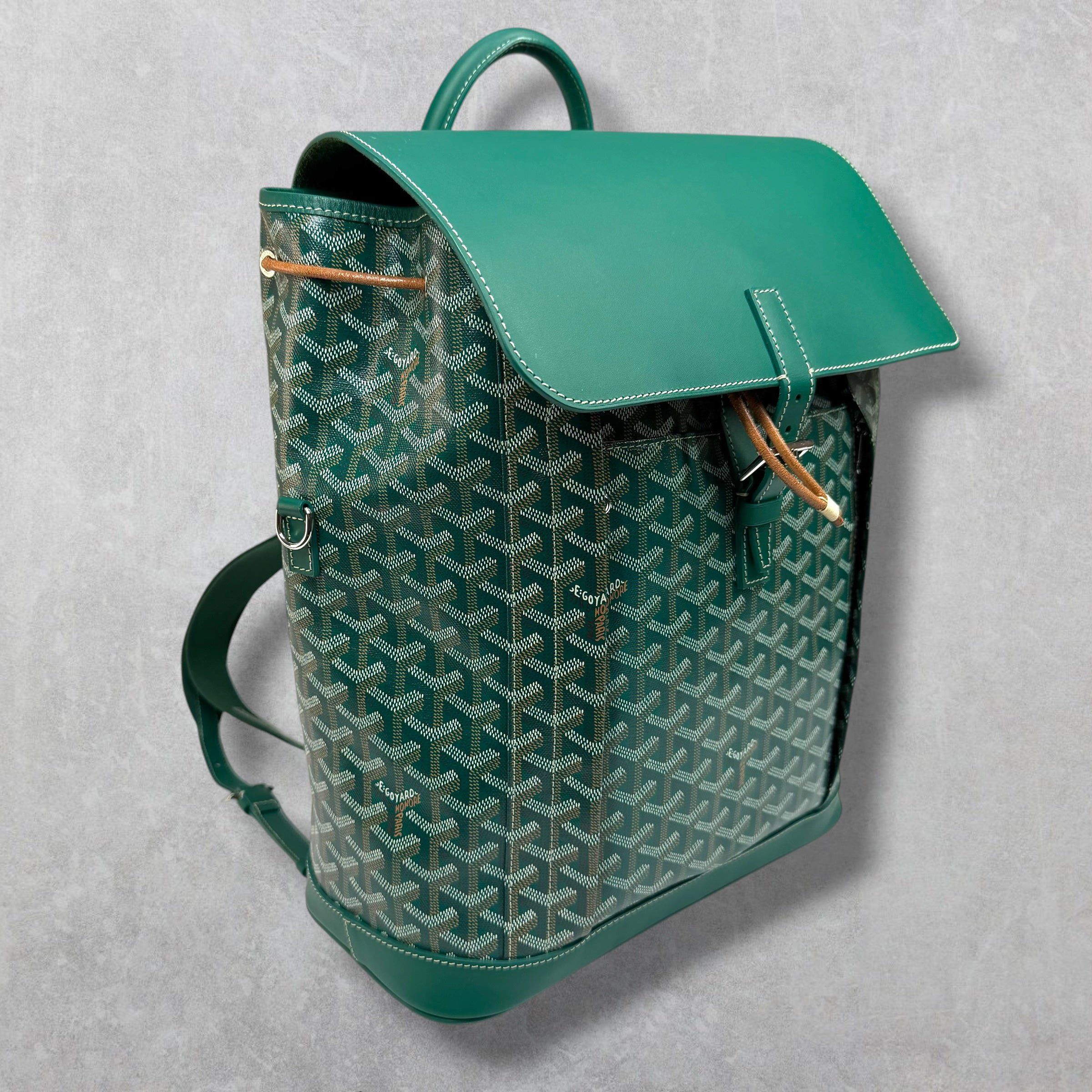 Goyard Goyard Green Alpin Backpack Size ONE SIZE - 1 Thumbnail