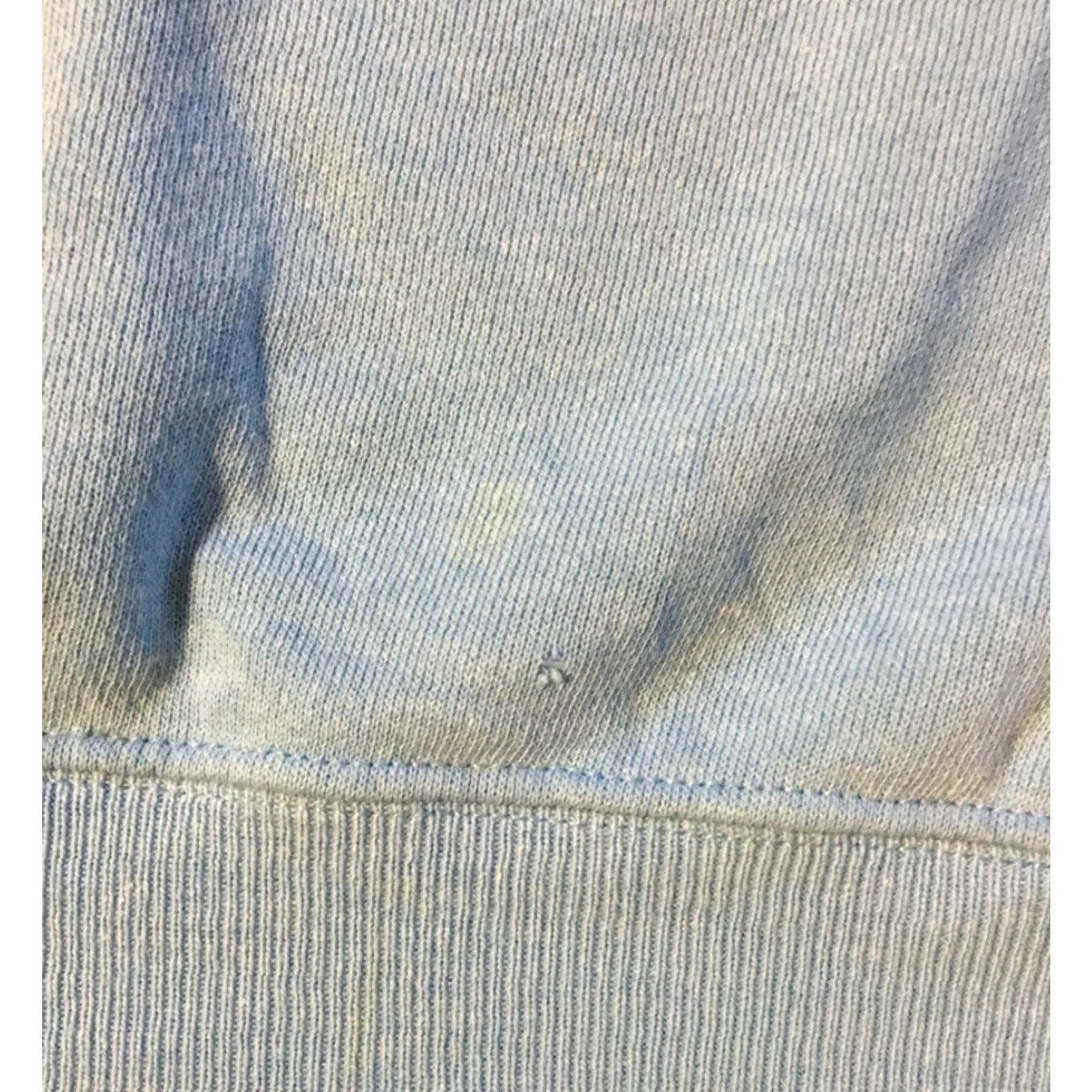 Hanes VINTAGE Arizona Nature Conservancy Bird Sweatshirt M USA Animal Art Grunge 90s Shirt Men M Blue Hanes Crew Neck Long Sleeve Size US M / EU 48-50 / 2 - 4 Thumbnail
