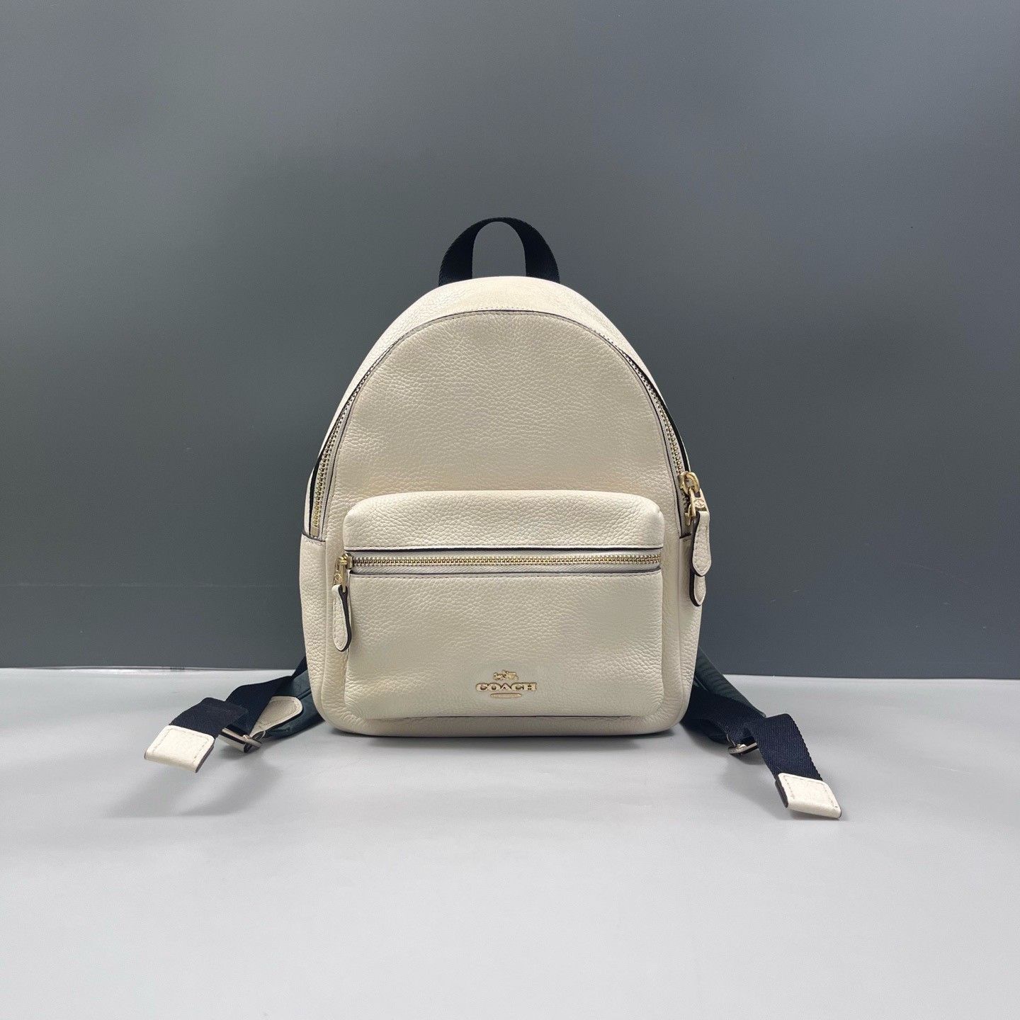 Coach Pre-loved Bag Very good condition Size ONE SIZE - 1 Thumbnail