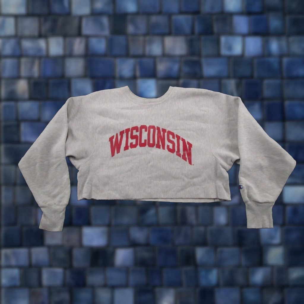 Champion VINTAGE Champion Sweatshirt Wisconsin Badgers Reverse Weave CROPPED READ 90s Sports All Seasons Hooded Reversible Crew Neck Men L Gray Cotton Size US L / EU 52-54 / 3 - 1 Thumbnail