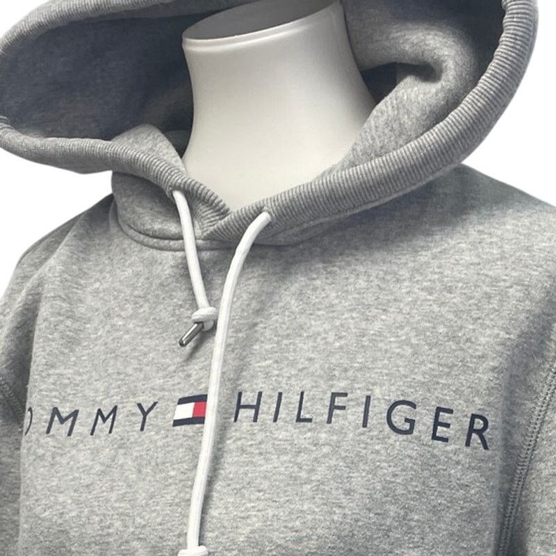 Tommy Hilfiger Tommy Hilfiger Mens Medium Long Sleeve Hooded Sweatshirt Size US M / EU 48-50 / 2 - 2 Thumbnail