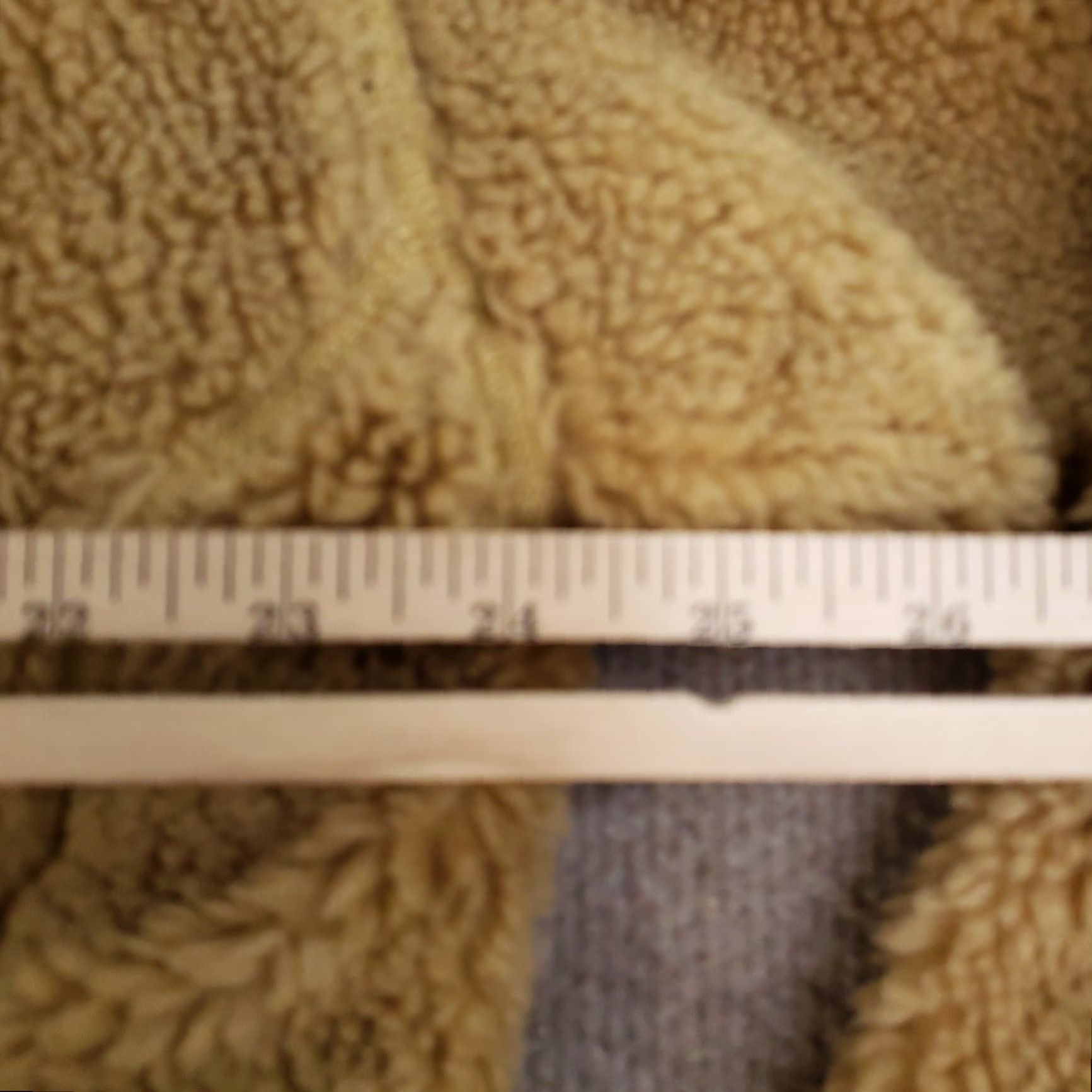 The North Face North Face Jacket Womens Large Brown Sherpa Fleece Full Zip Outdoor Hiking Size L / US 10 / IT 46 - 3 Thumbnail