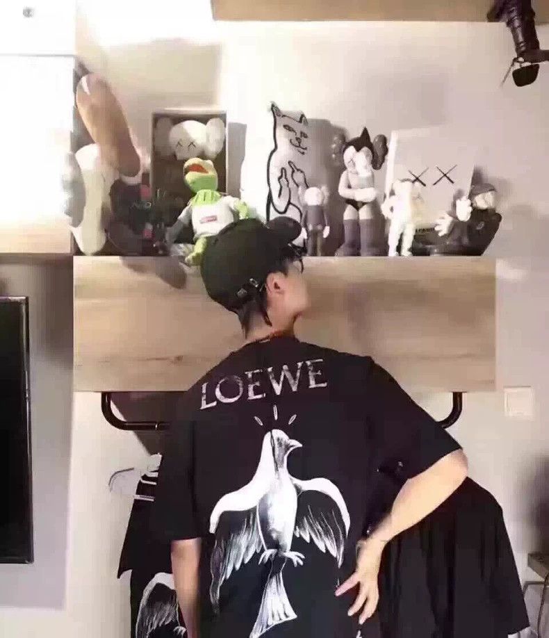 Loewe LOEWE Peace Pigeon Bird short sleeved T-shirt Size M / US 6-8 / IT 42-44 - 8 Thumbnail