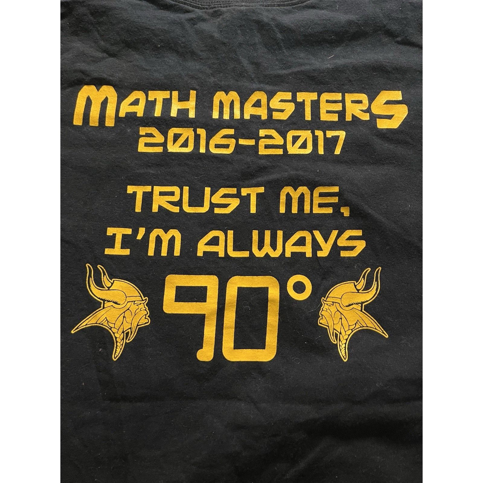 Gildan Math Puns Graphic T-Shirt – Math Masters 2016-2017 | Size L Size US L / EU 52-54 / 3 - 4 Thumbnail