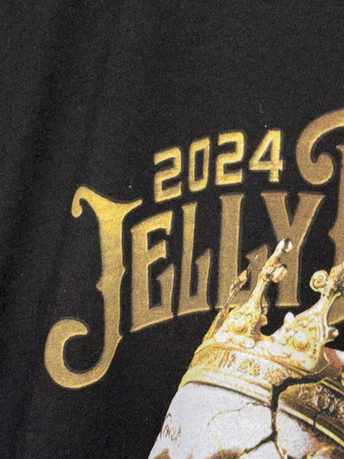 Tailorbyrd Tailorbyrd Jelly Roll 2024 Tour Graphic T Shirt Size Large Size US L / EU 52-54 / 3 - 14 Thumbnail