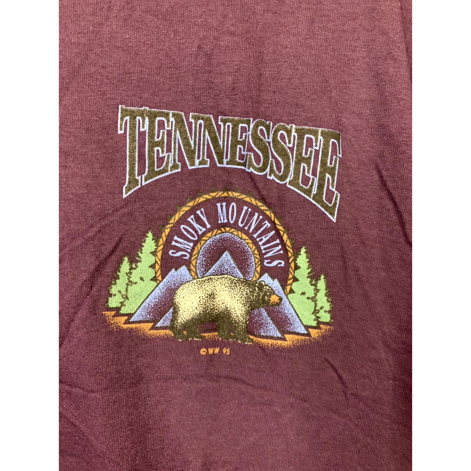 Jerzees Vintage Tennessee Smoky Mountains Shirt Bear Tee VTG 90s L Size US L / EU 52-54 / 3 - 2 Thumbnail