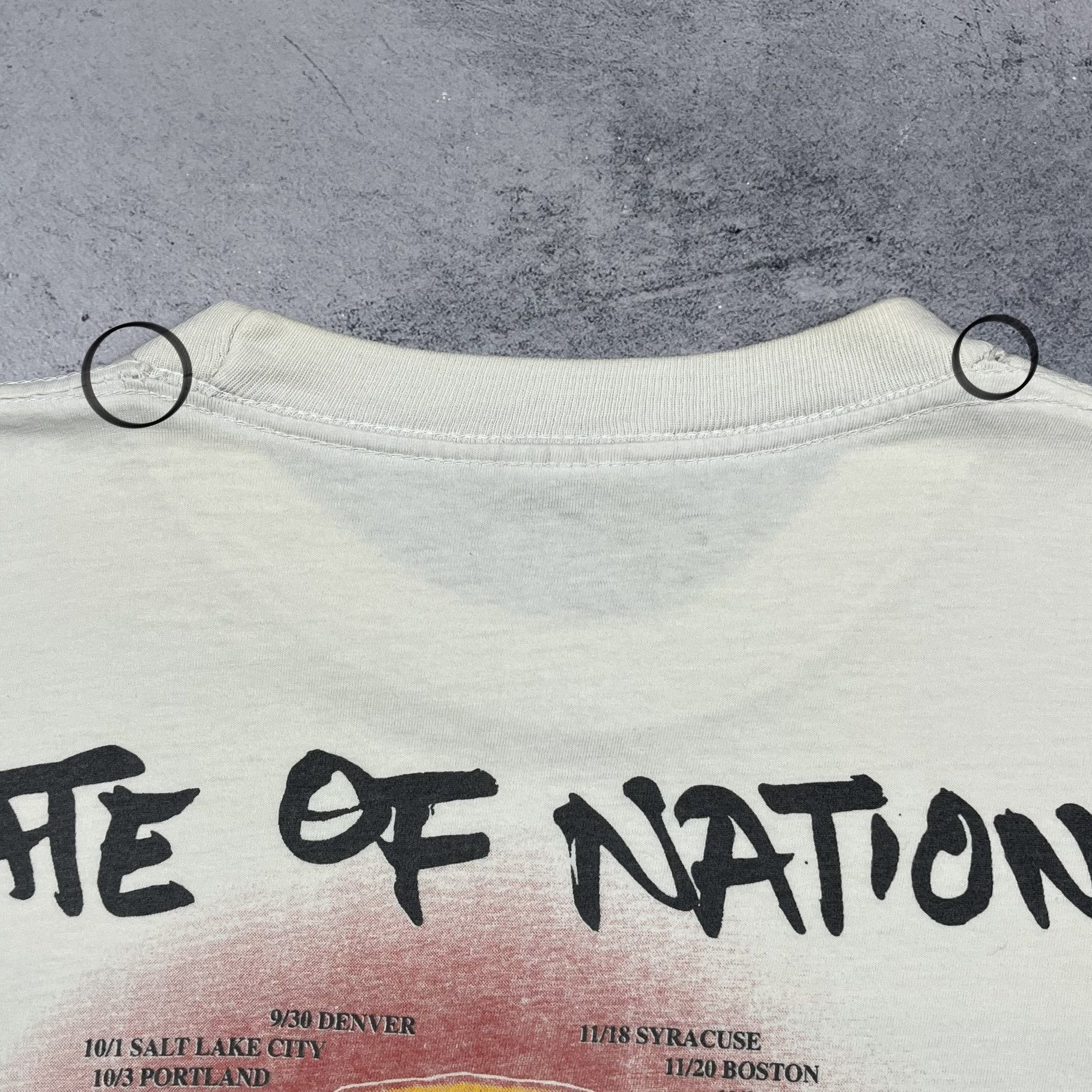 Band Tees Vintage Robert Plant “Fate Of Nations” Tour T Shirt 1993 Size US XL / EU 56 / 4 - 22 Thumbnail