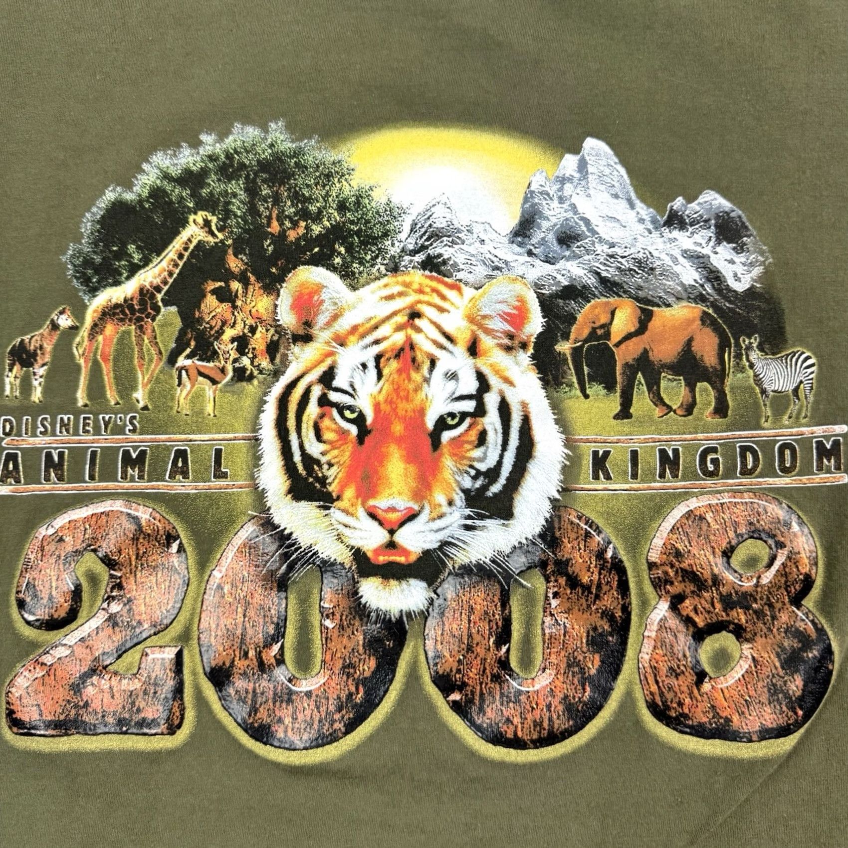 Disney VINTAGE Disney T-Shirt Adult XL Theme Park Animals Y2K Disney World Green Short Sleeve Crew Neck Mens Size US XL / EU 56 / 4 - 2 Thumbnail