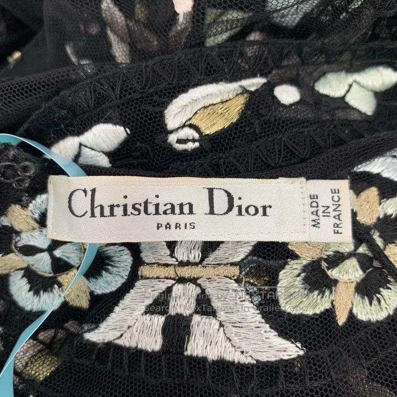 Dior Dior Black Embroidered Silk Mesh Dress. Size US 30 / EU 46 - 7 Thumbnail