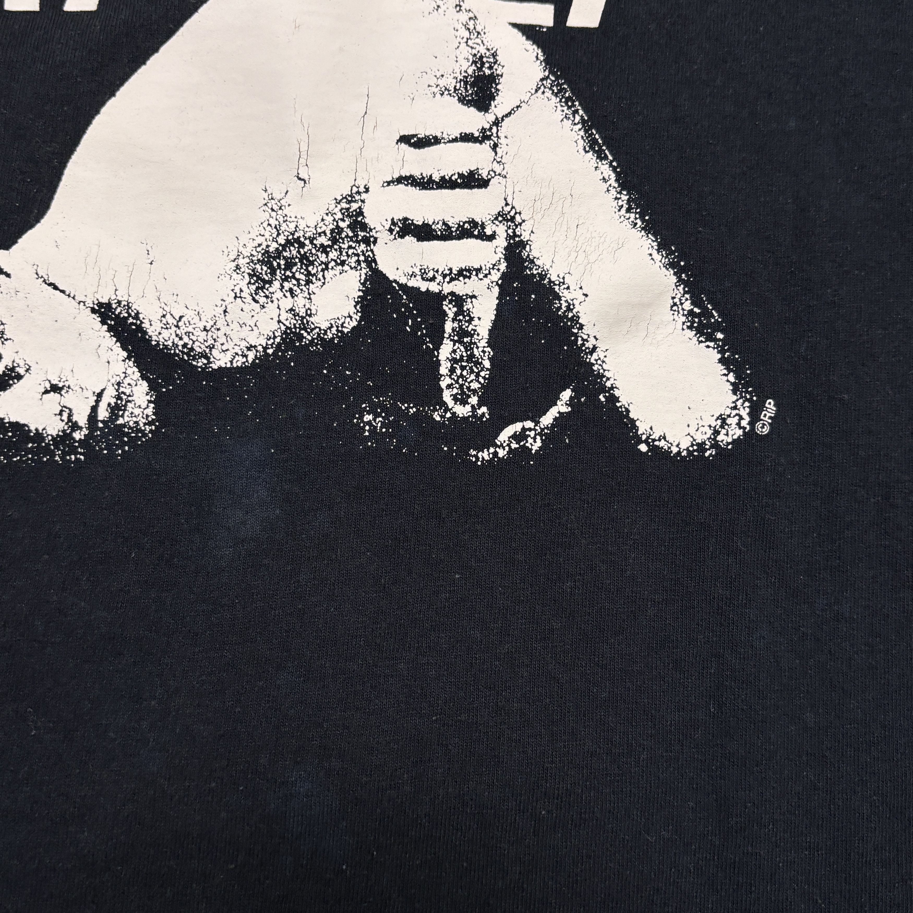 Band Tees Vintage Pixies Shirt Y2K Tour Concert Rock Band Tee Size US L / EU 52-54 / 3 - 4 Thumbnail