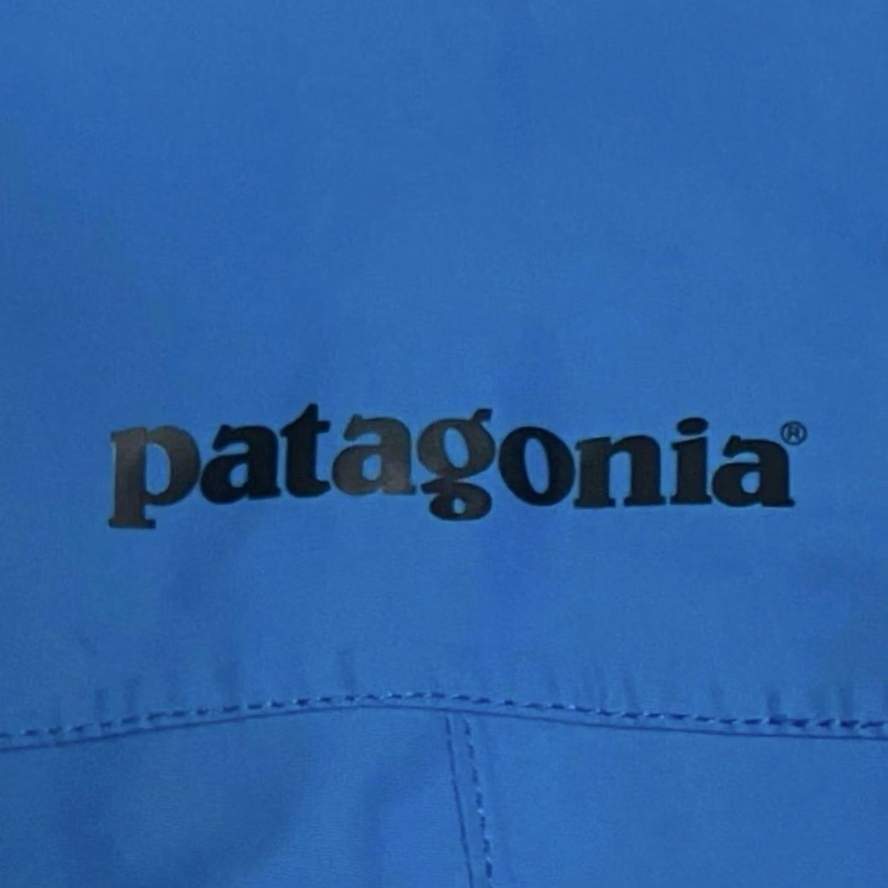 Patagonia Patagonia Jacket Snow Shot Blue Size M Men 30951FA12 Size US M / EU 48-50 / 2 - 4 Thumbnail