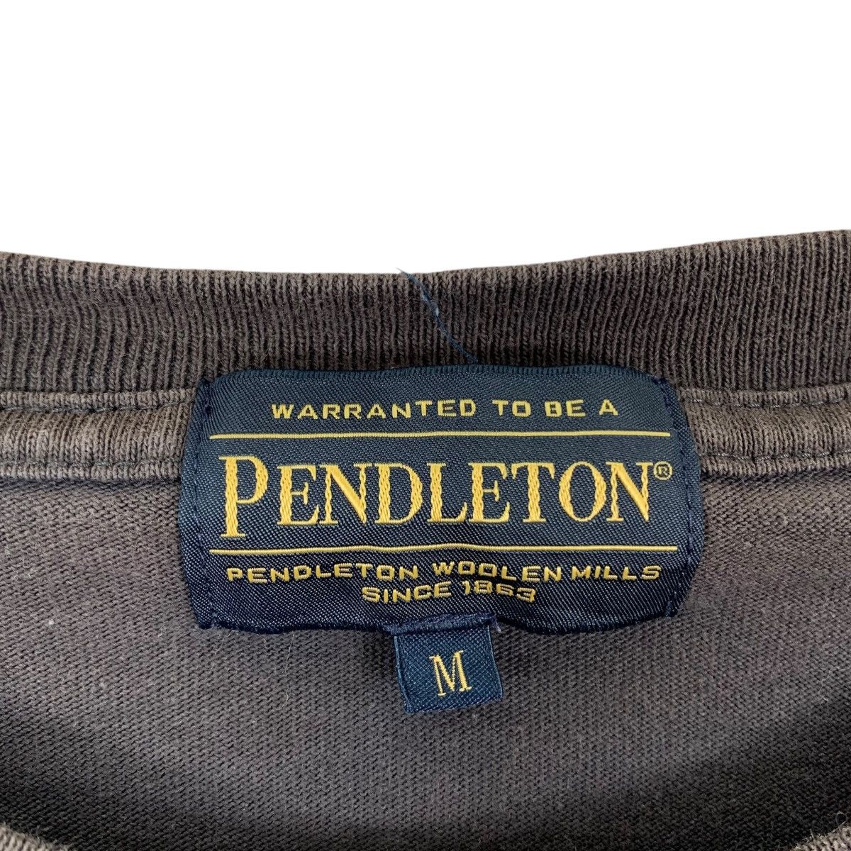 Pendleton PENDLETON NAVAJO Aztec Native Long Sleeve Tshirt Size US M / EU 48-50 / 2 - 6 Thumbnail