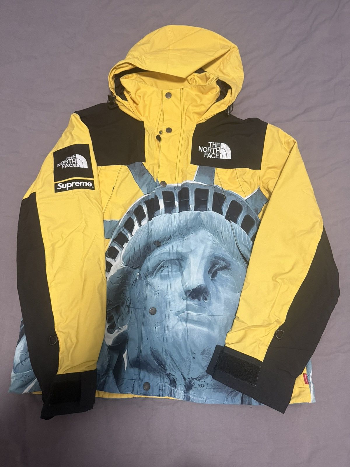 Supreme × The North Face Supreme tnf north face statue of liberty mountain jacket Size US M / EU 48-50 / 2 - 1 Thumbnail