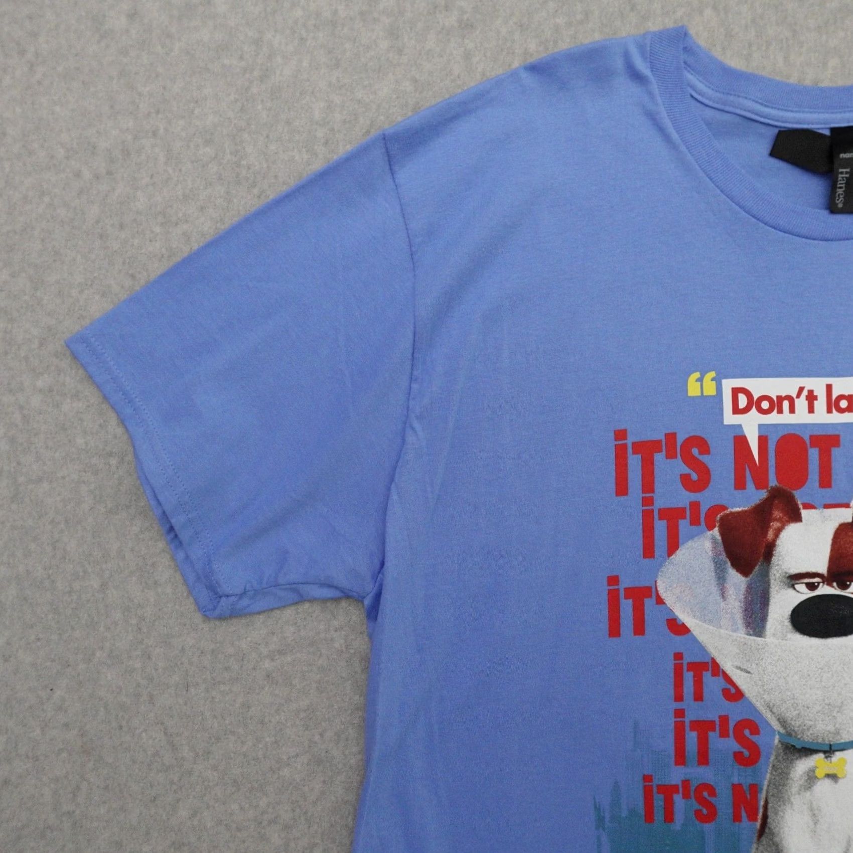 Hanes Secret Life Of Pets 2 TShirt Adult XL Blue Movie Promo It's Funny Size US XL / EU 56 / 4 - 6 Thumbnail