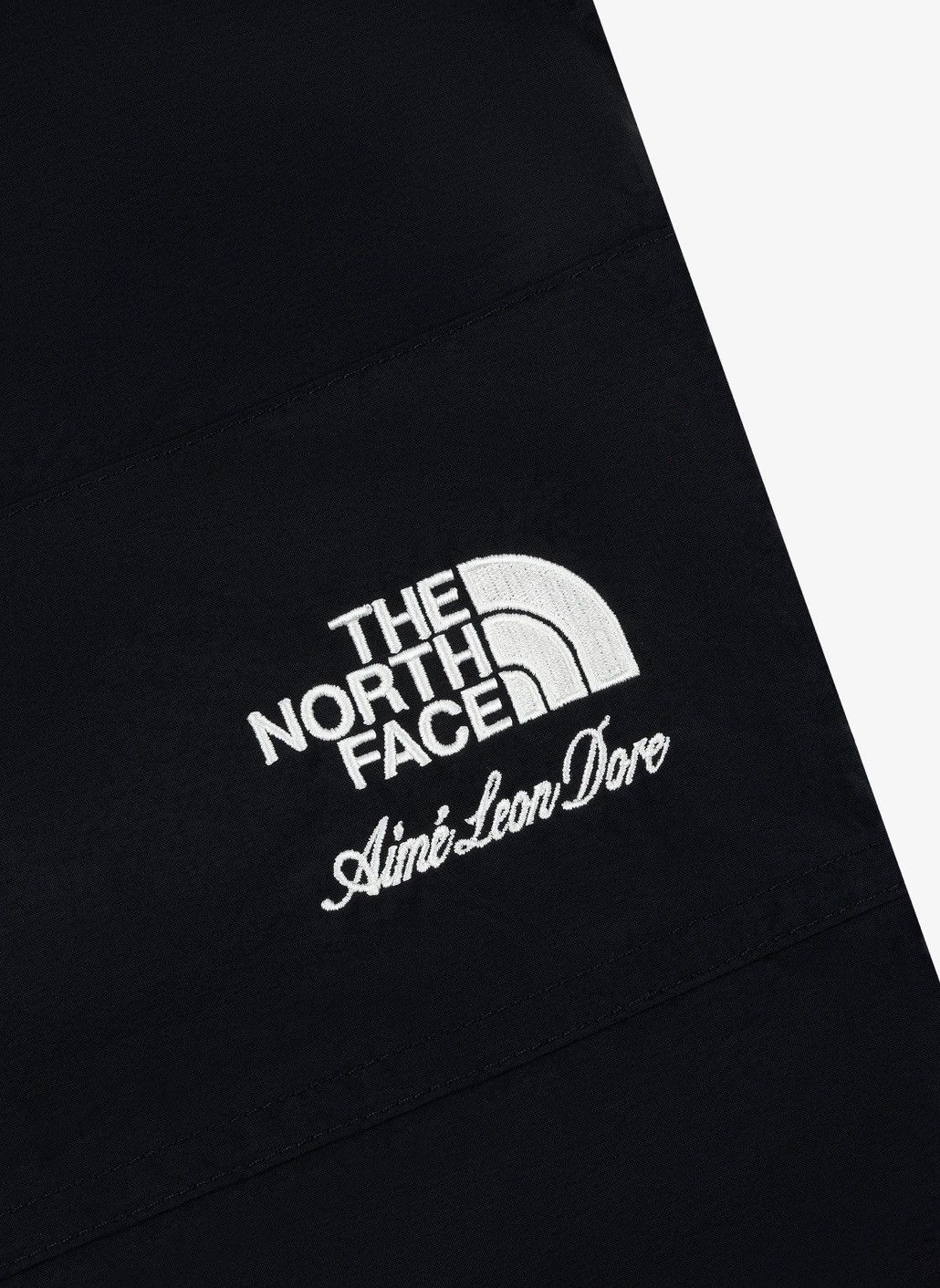 Aime Leon Dore Aime Leon Dore ALD The North Face Nylon Denali Pant Size 34 Size US 34 / EU 50 - 4 Thumbnail