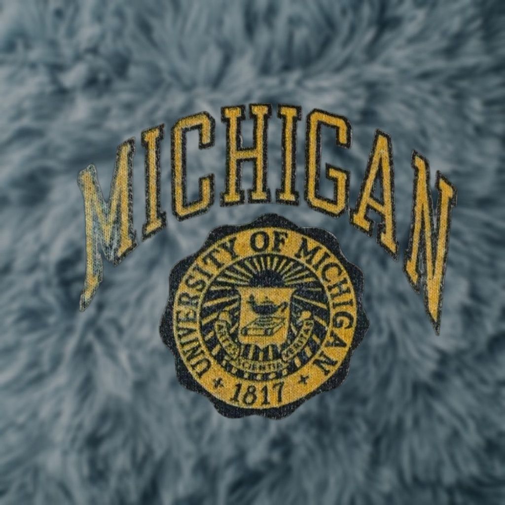 Vintage VINTAGE University Michigan Sweatpants L Gray Activewear Pants Men 80s 90s Grunge College Track & Field USA Wolverines Drawstring Size US 33 - 1 Thumbnail