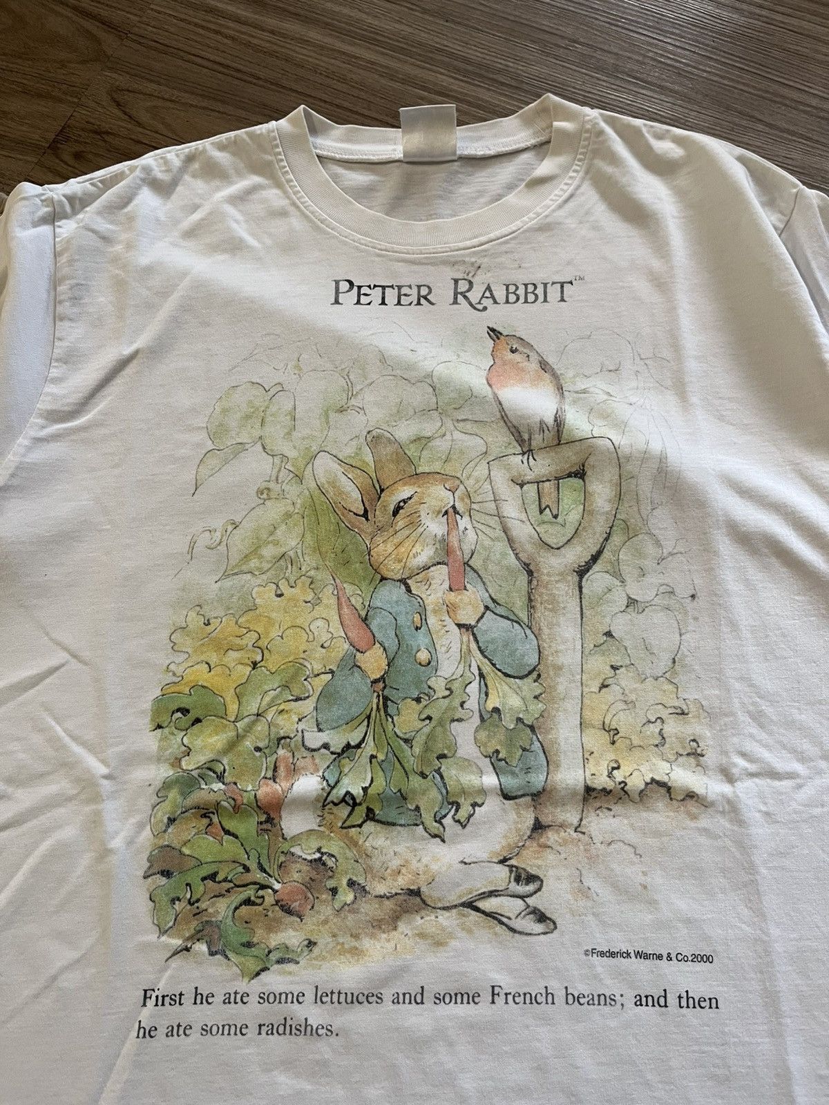 Disney classic Beatrix Potter character, Peter Rabbit, vintage 2000 Size US L / EU 52-54 / 3 - 1 Thumbnail